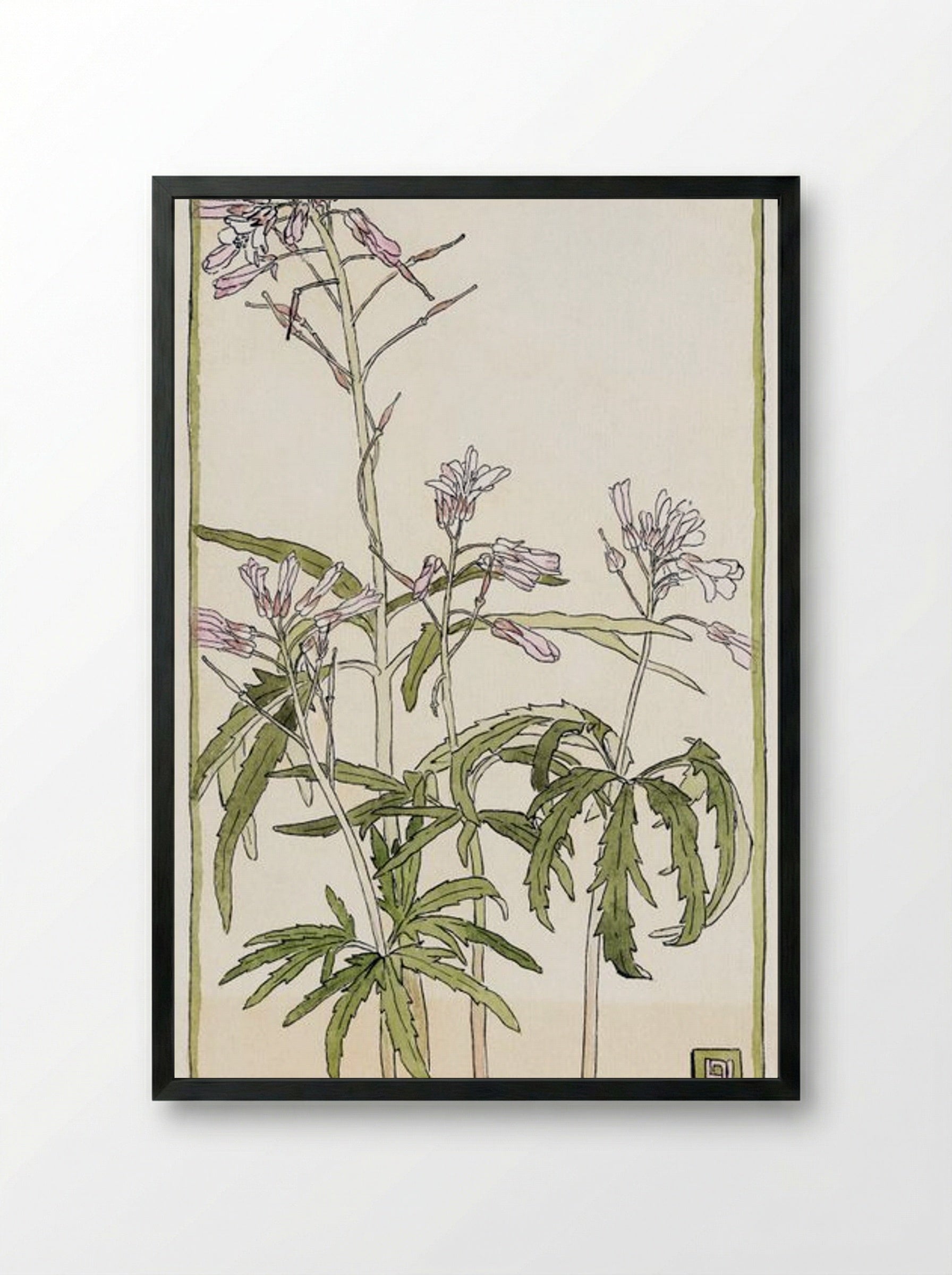 Pink Flowers with Spiky Green Leaves - Hannah Borger Overbeck - Framed Print Black