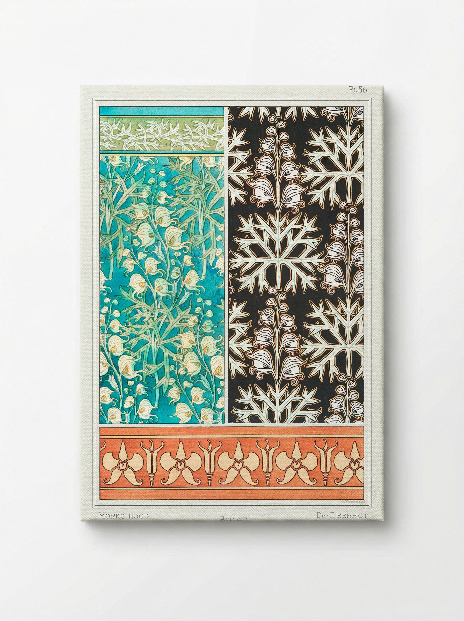 Aconite (Monkshood) - Maurice Pillard Verneuil - Canvas