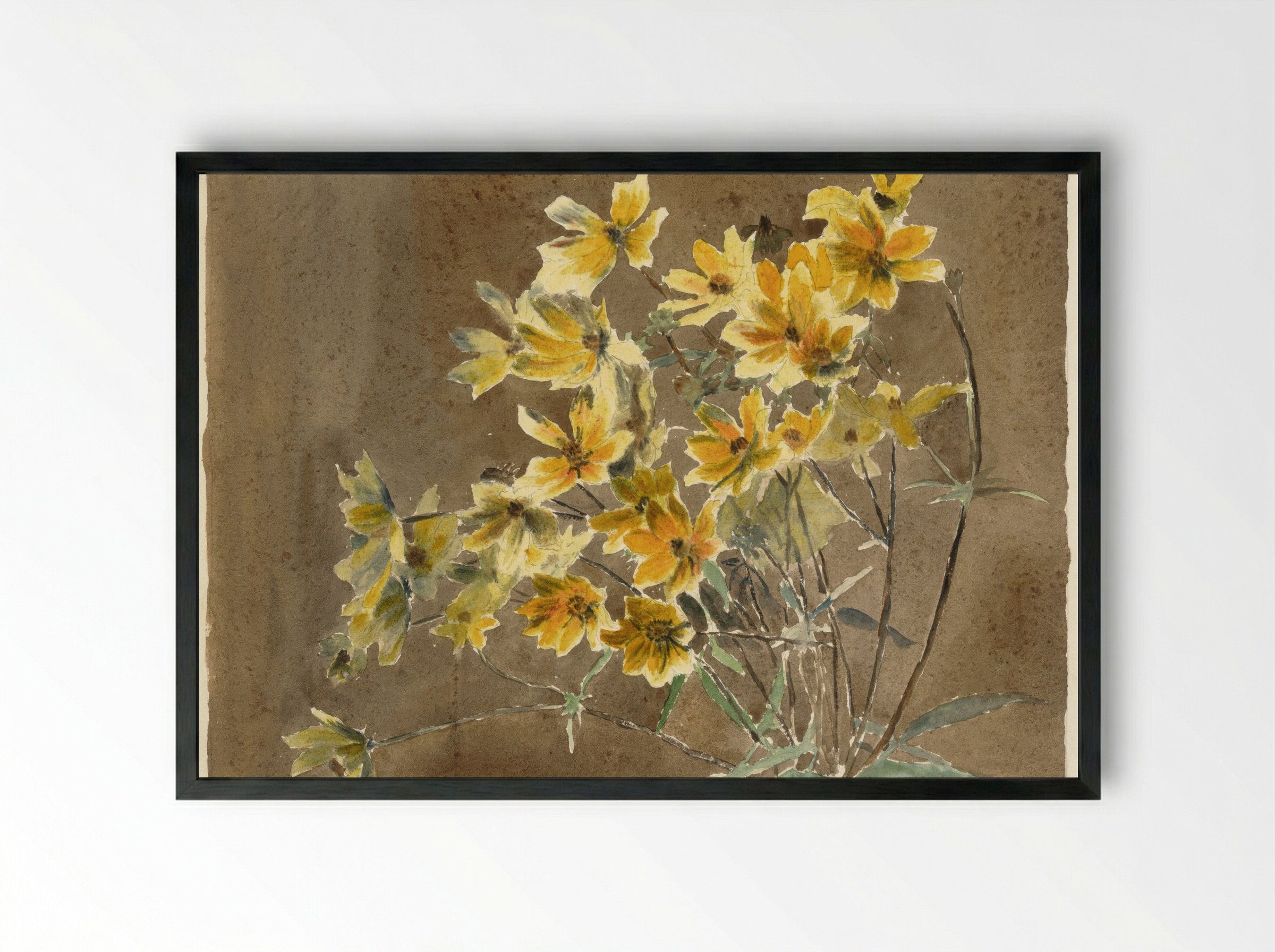 Yellow Flower with Border (1915) - Hannah Borger Overbeck - Framed Print Black