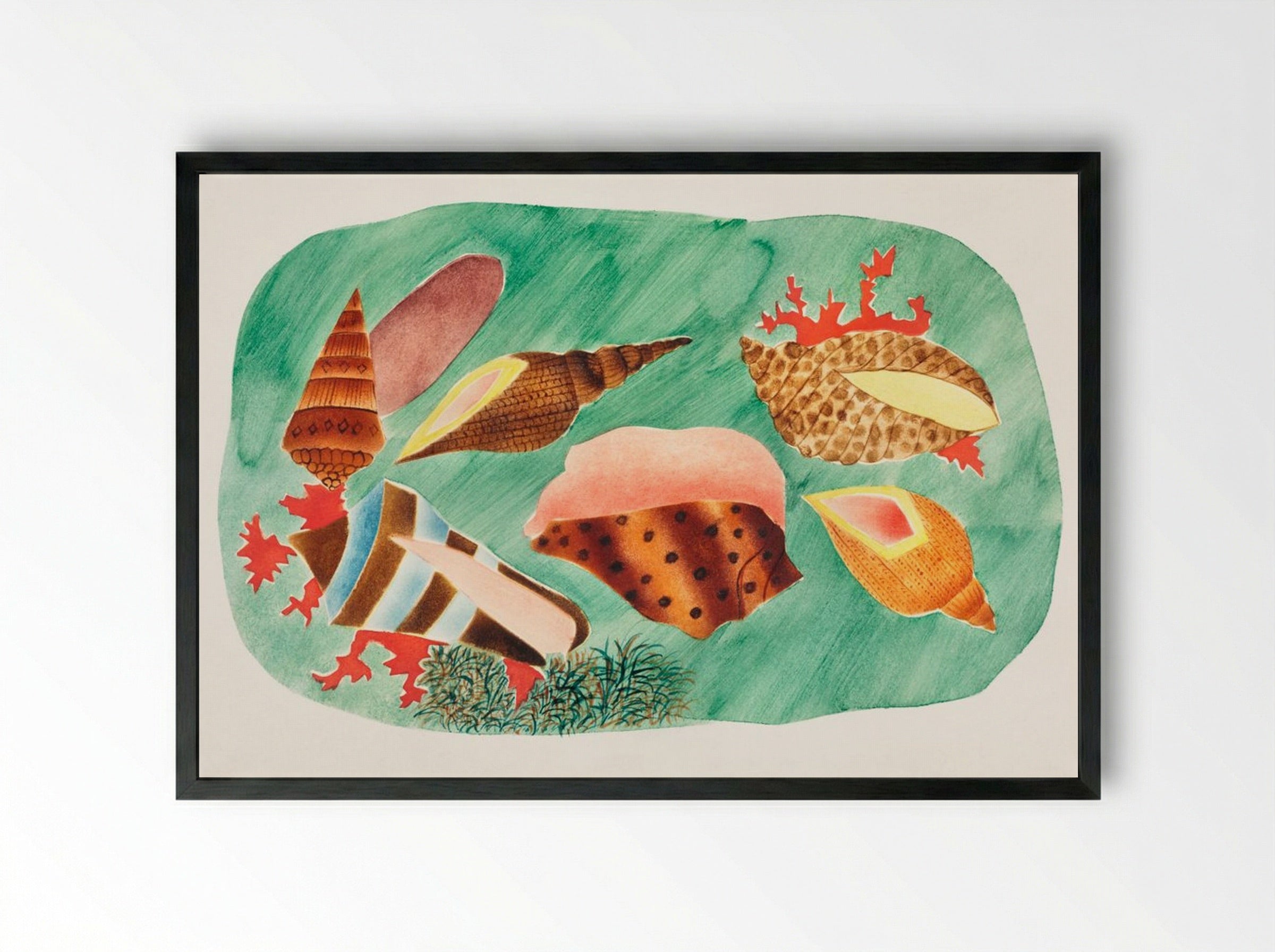 Shells in Seaweed - Mary Altha Nims - Framed Print Black