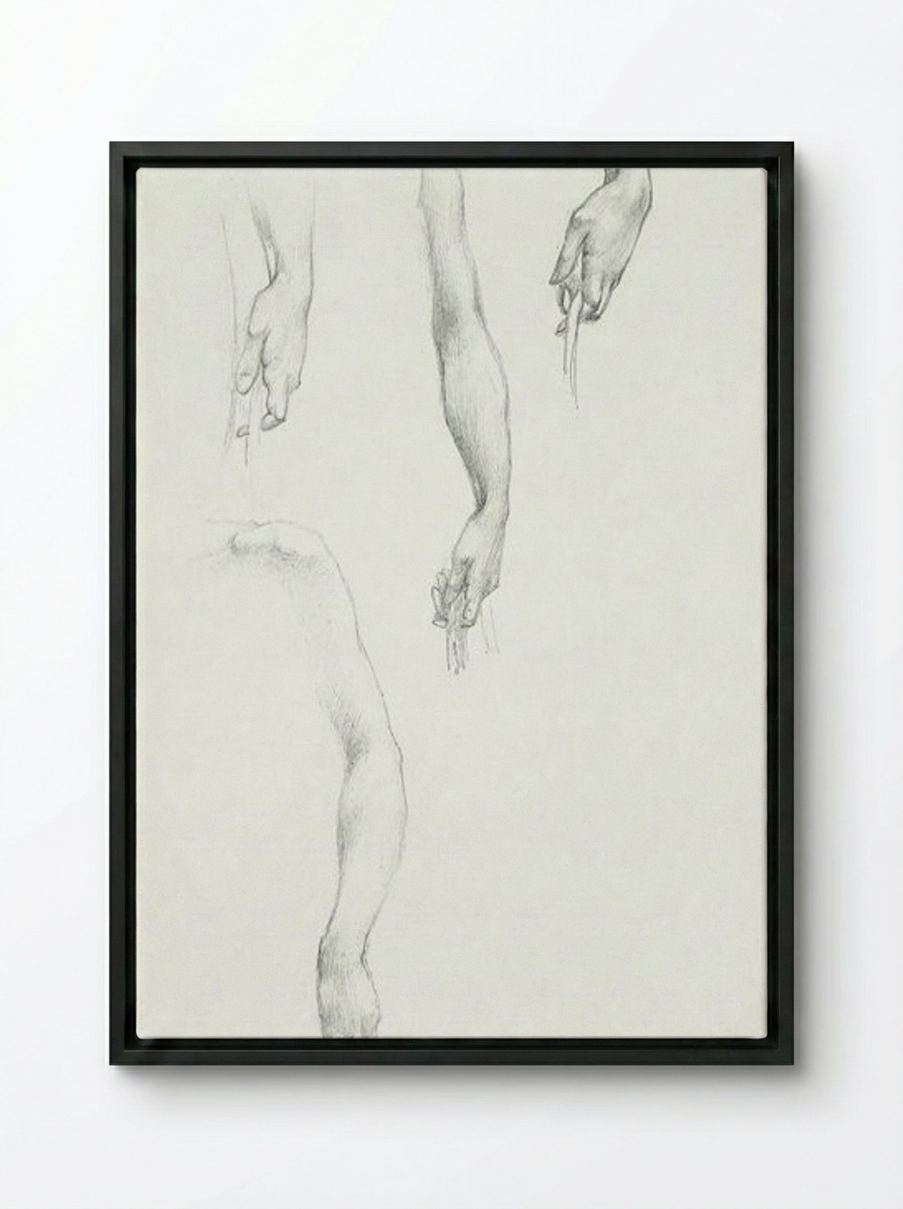 Studies of Arms and Hands - Edward Burne-Jones - Framed Canvas Black