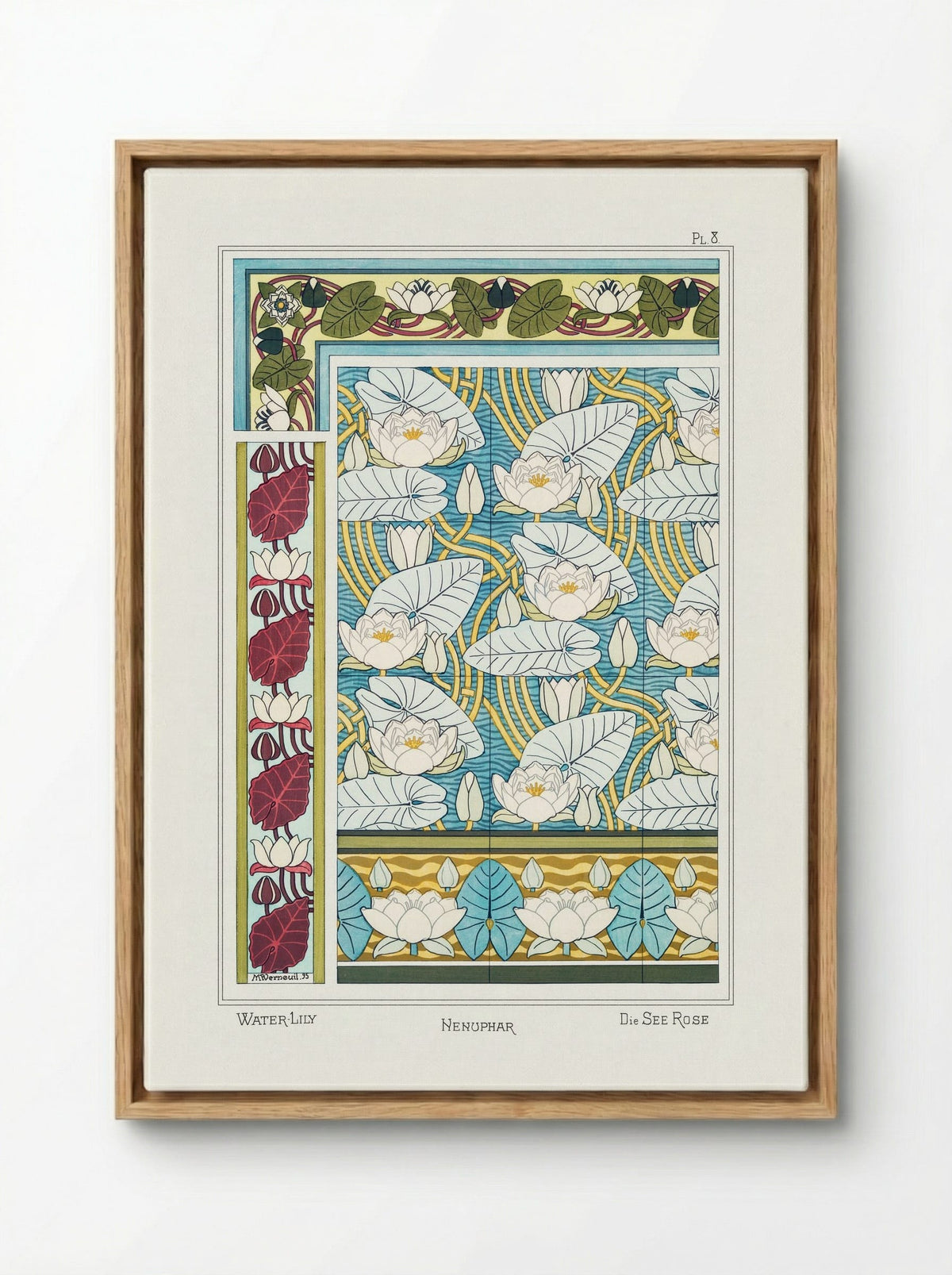 Nénuphar (Water Lilies) from La Plante et ses Applications ornementales - Maurice Pillard Verneuil - Framed Canvas Wood