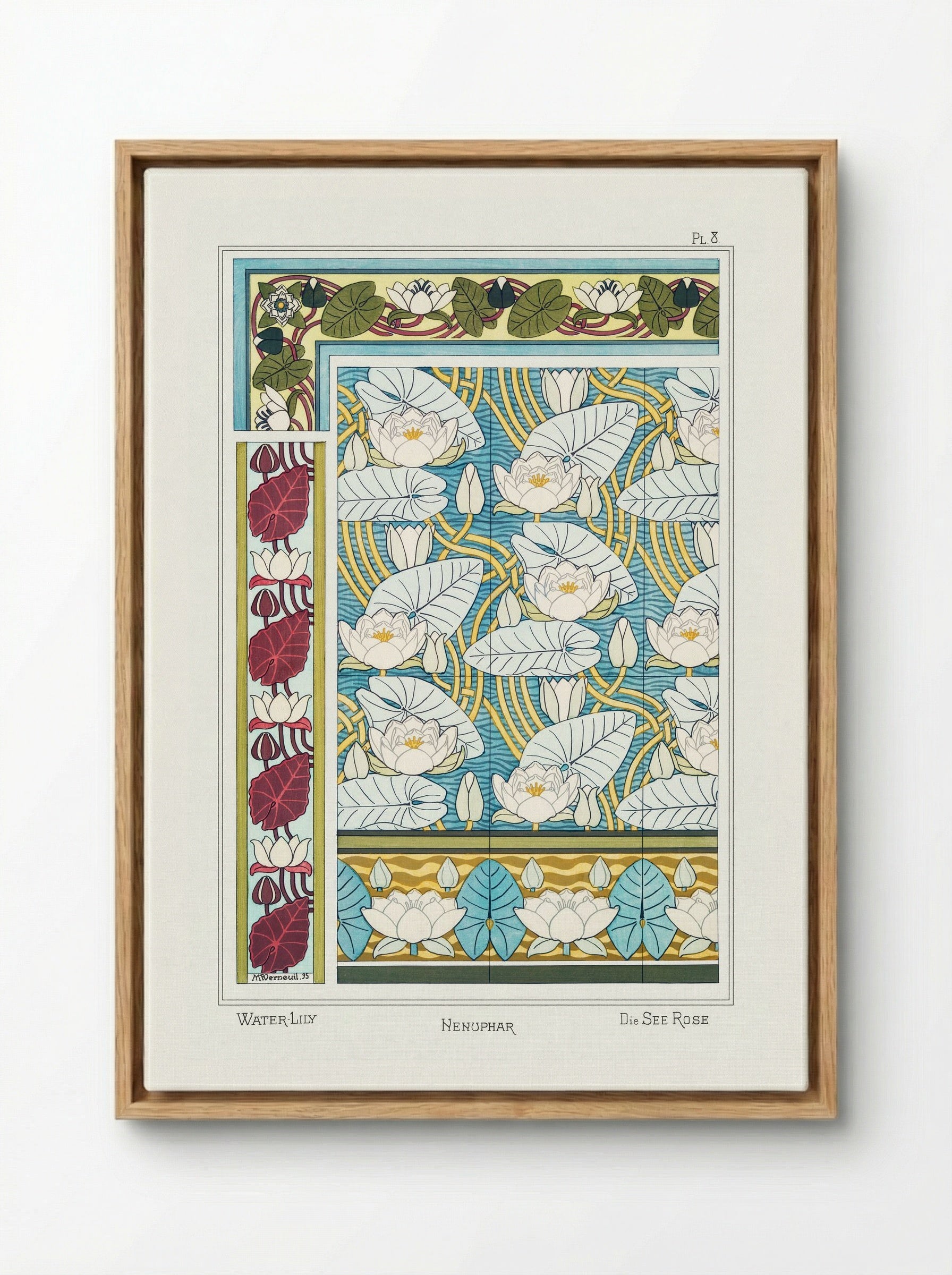Nénuphar (Water Lilies) from La Plante et ses Applications ornementales - Maurice Pillard Verneuil - Framed Canvas Wood