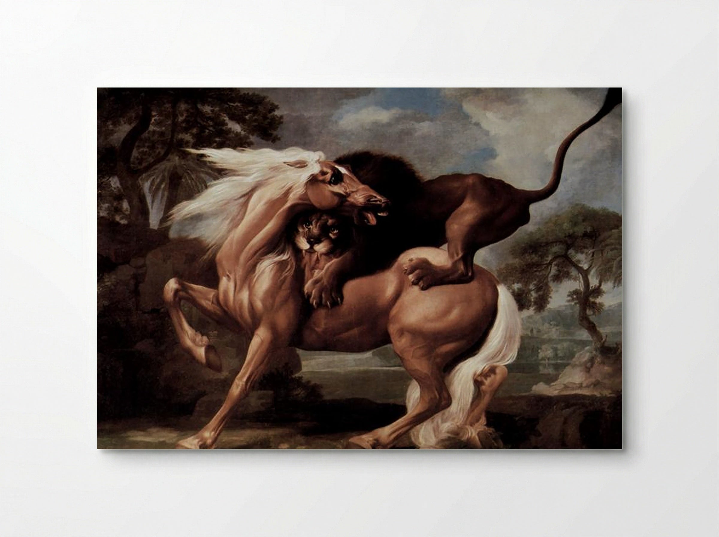Horse Attacked by a Lion - George Stubbs - Poster