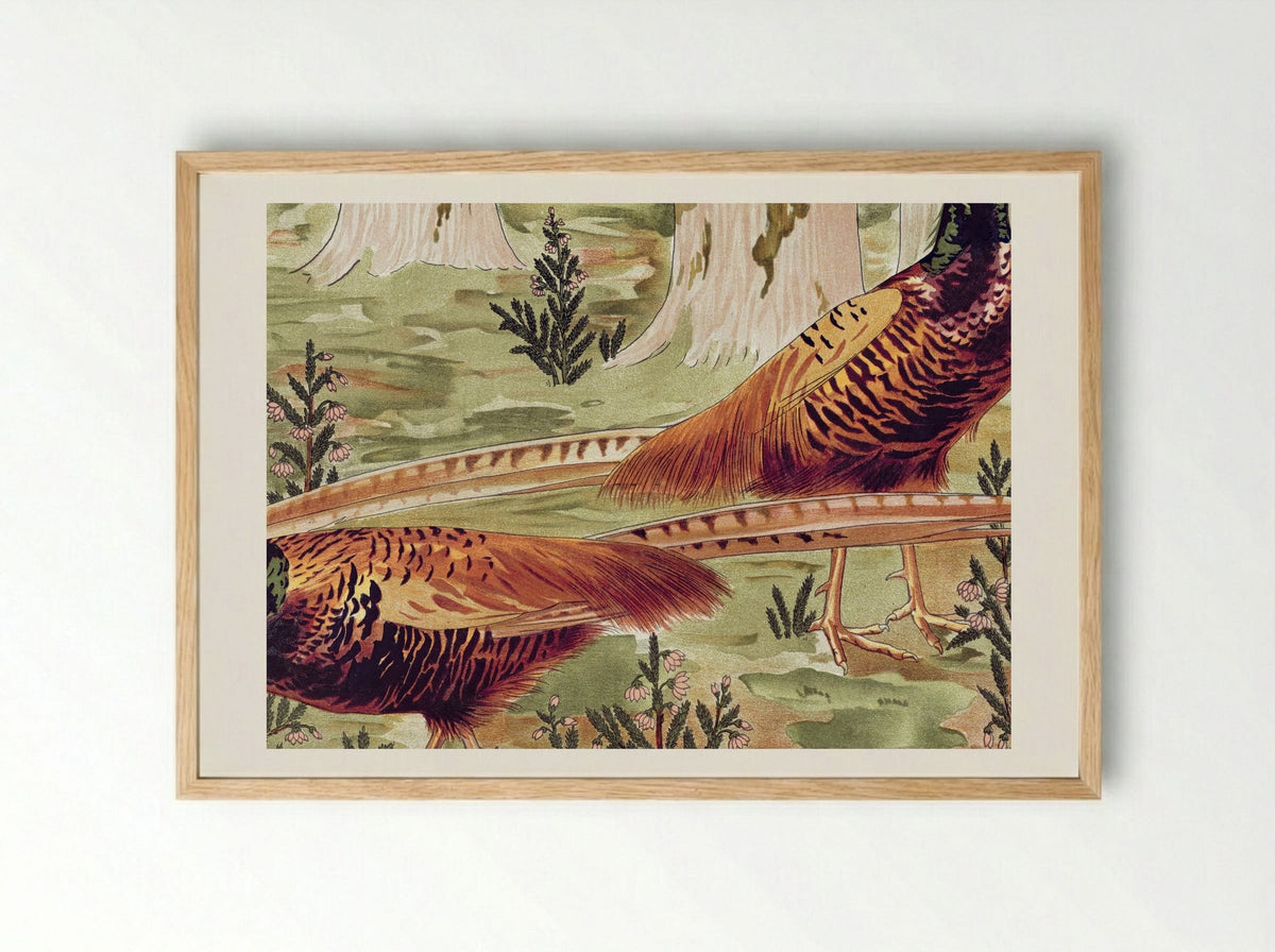 Faisans Ordinaires (Common Pheasants) - Maurice Pillard Verneuil - Framed Print Wood