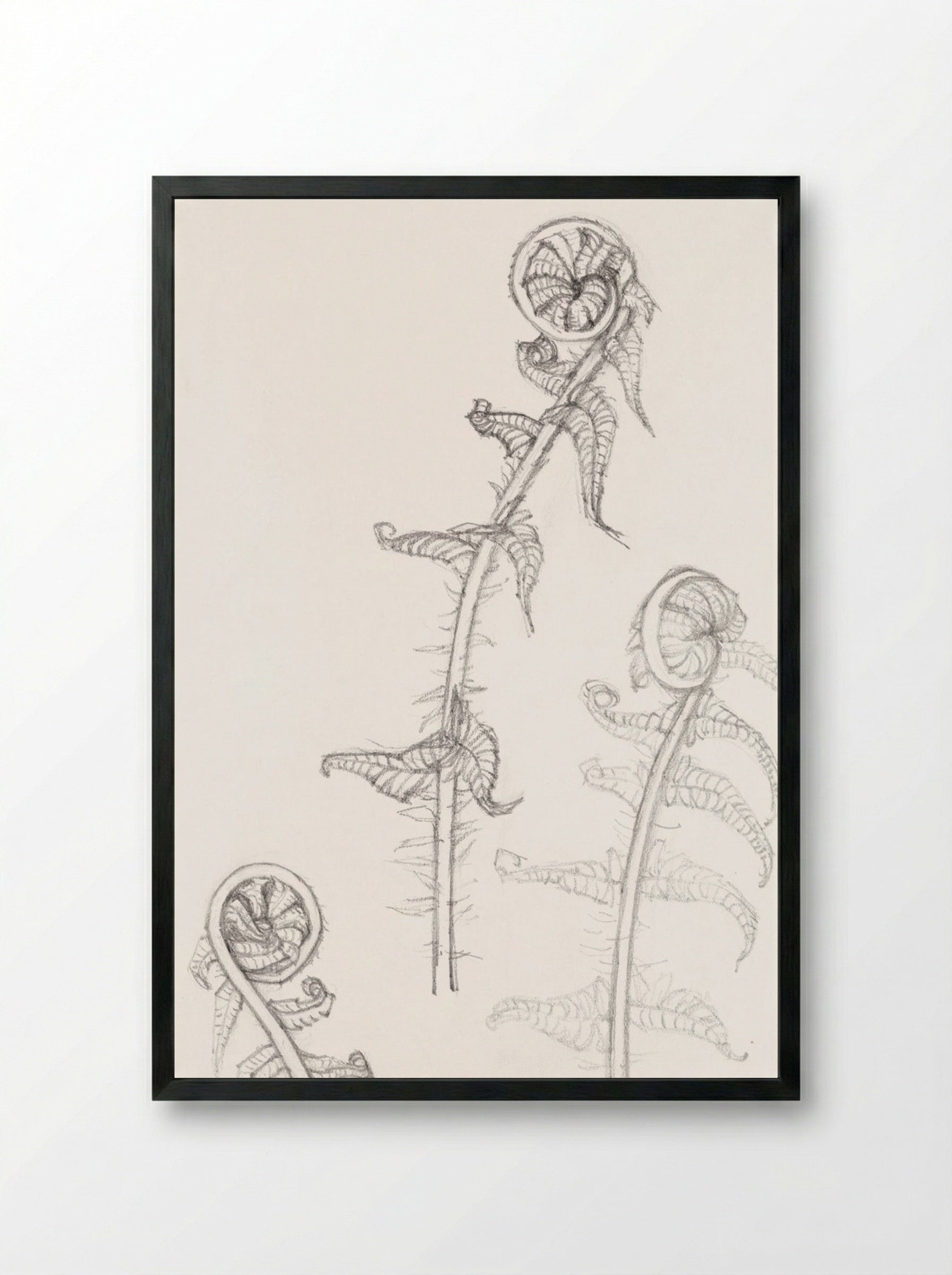 Sketches of Fronds - Julie de Graag - Framed Print Black