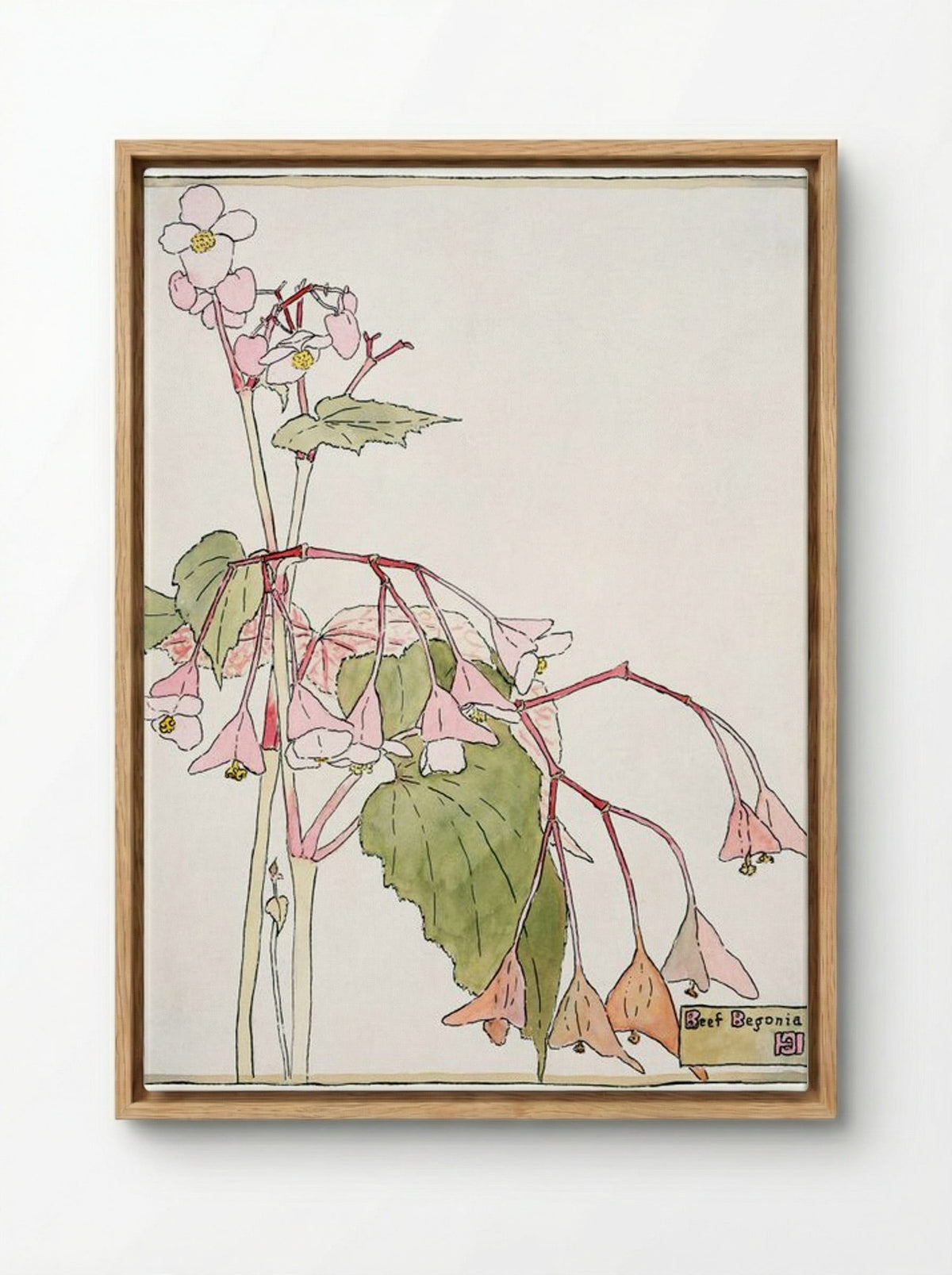 Beef Begonia - Hannah Borger Overbeck - Framed Canvas Wood