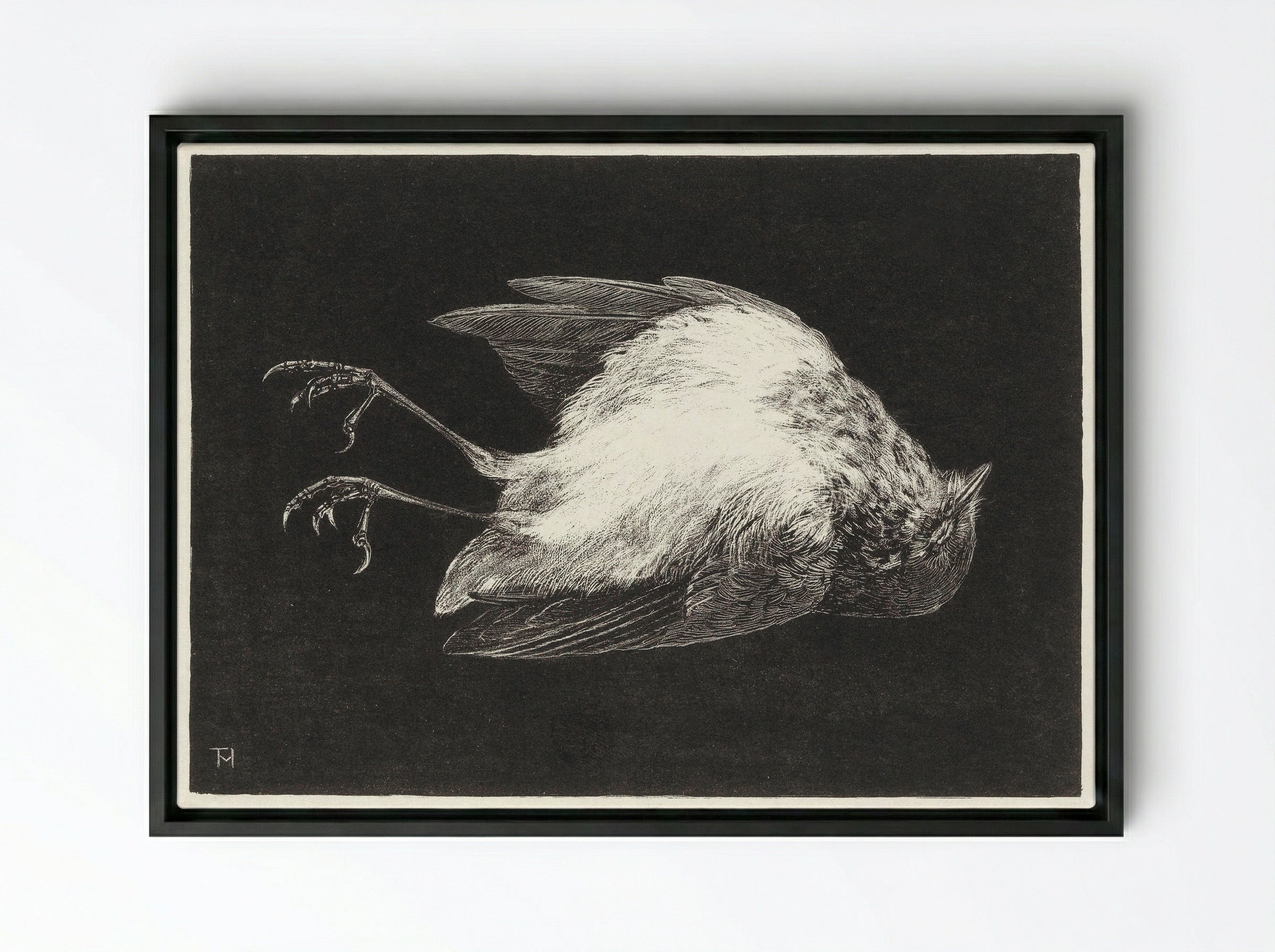 Dood Roodborstje (Dead Robin) - Theo van Hoytema - Framed Canvas Black