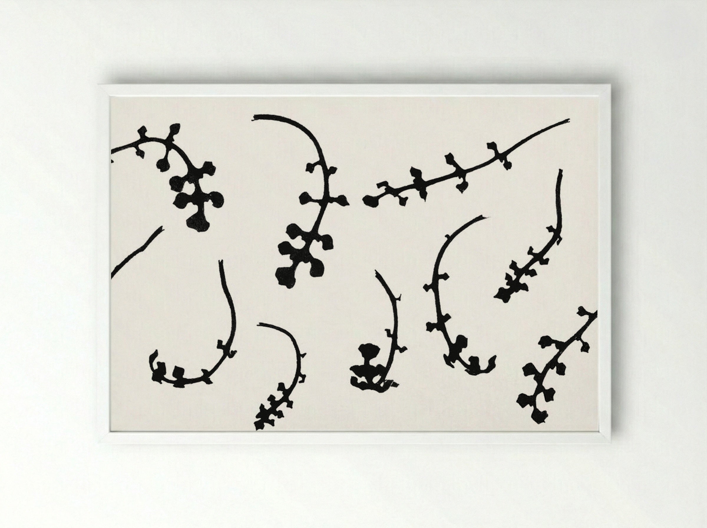 Root Rosettes of the Pentecostal Flower - Julie de Graag - Framed Print White