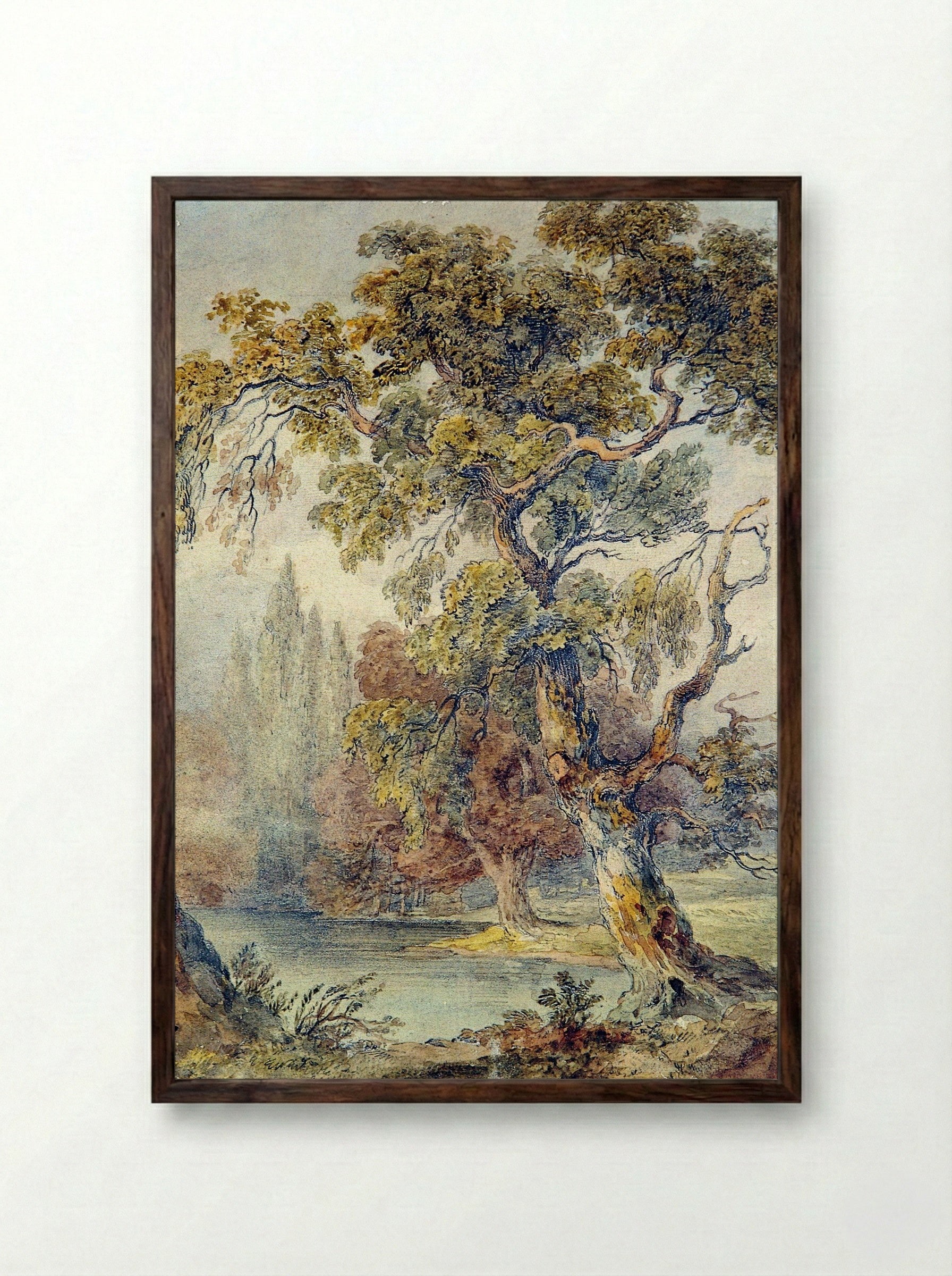 Trees and Pond - Fine Art Print - Framed Print Dark Wood