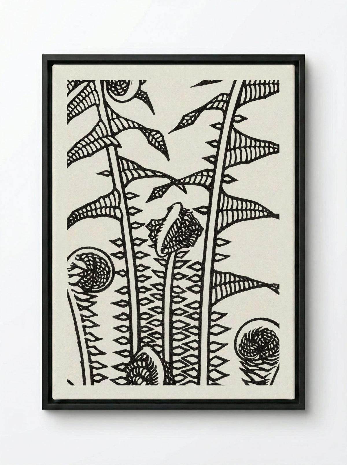 Ferns - Julie de Graag - Framed Canvas Black