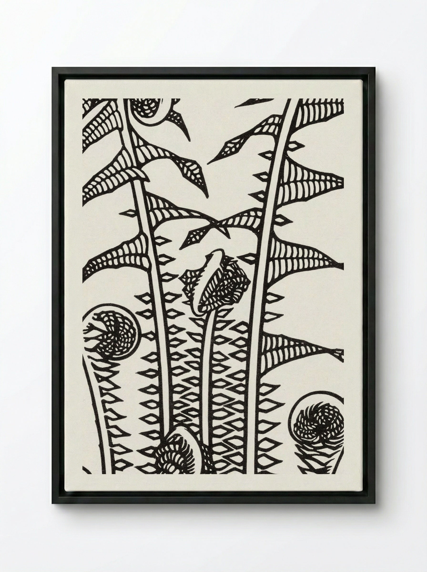 Ferns - Julie de Graag - Framed Canvas Black