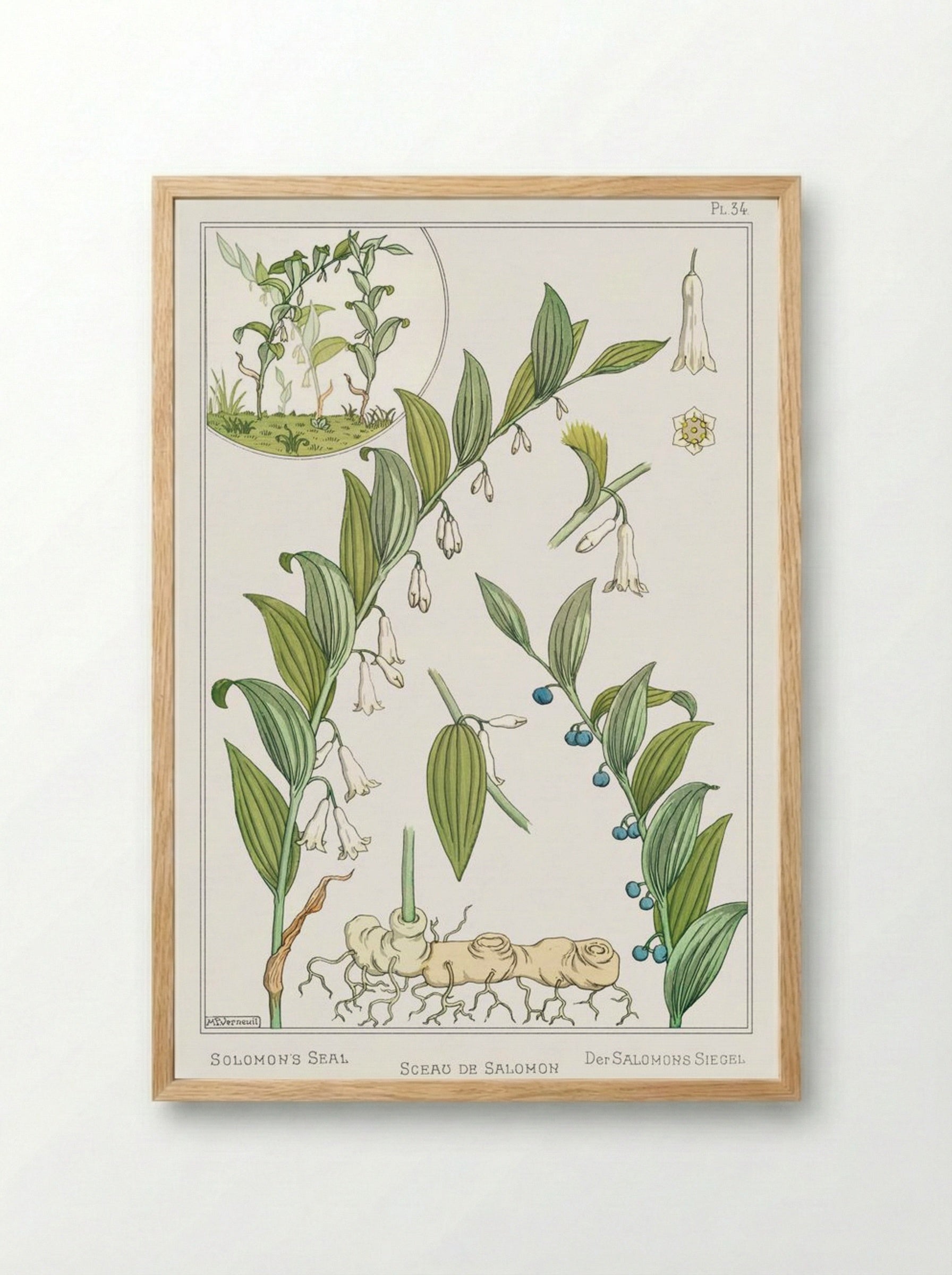 Sceau de Salomon (Solomon's Seal) - Maurice Pillard Verneuil - Framed Print Wood