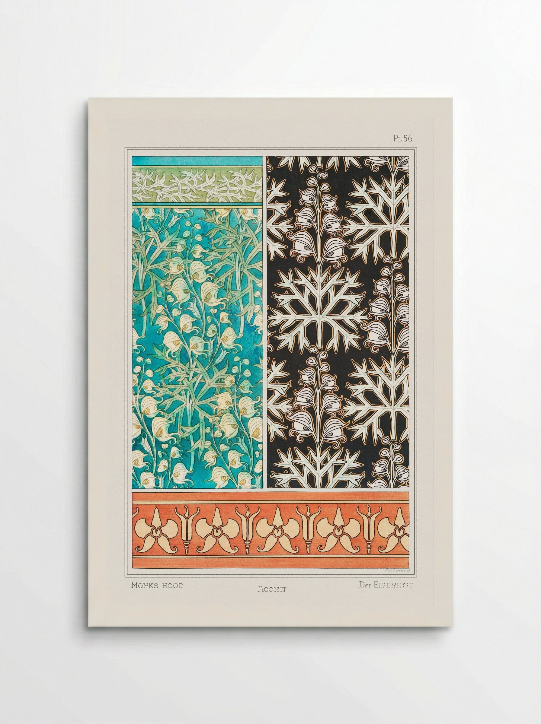 Aconite (Monkshood) - Maurice Pillard Verneuil - Poster