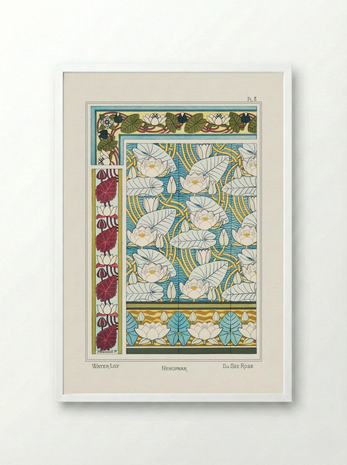 Nénuphar (Water Lilies) from La Plante et ses Applications ornementales - Maurice Pillard Verneuil - Framed Print White