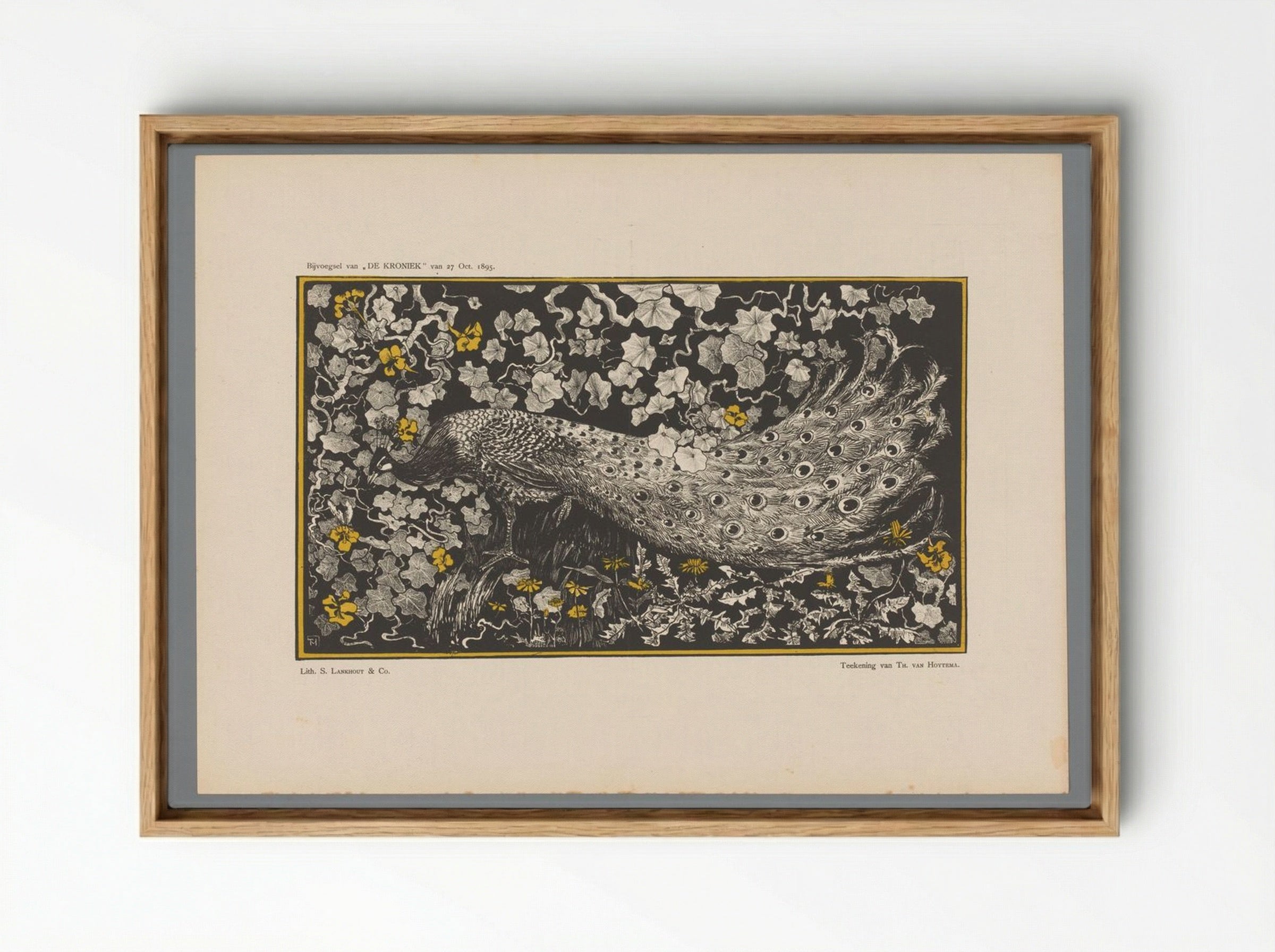 Pauw (Peacock Design) - Theo van Hoytema - Framed Canvas Wood