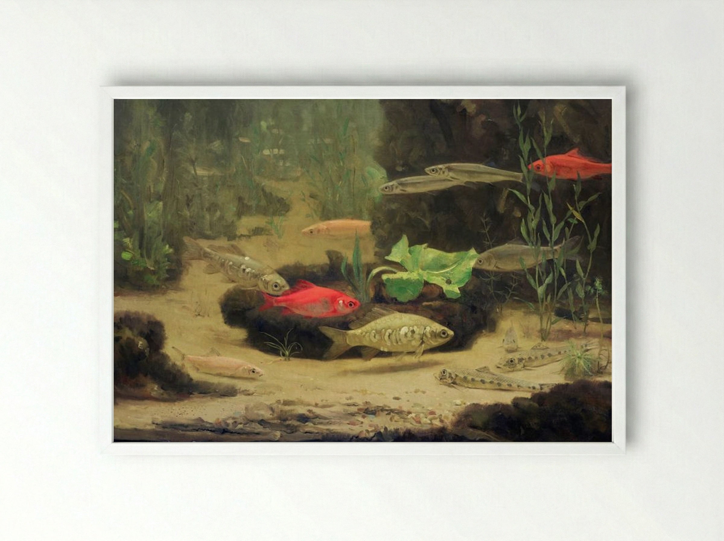 Gold and Silverfish in an Aquarium - Gerrit Willem Dijsselhof - Framed Print White
