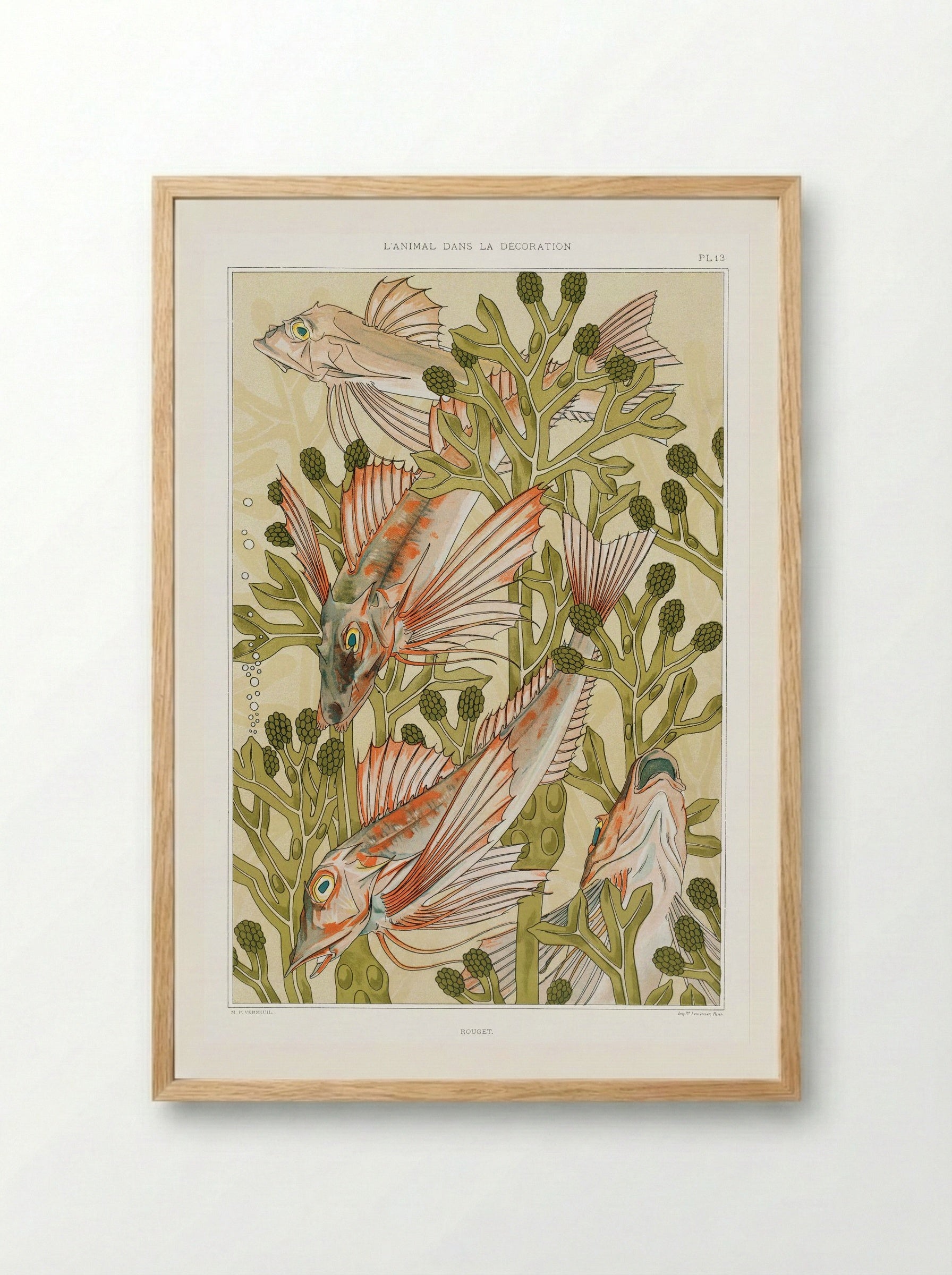 Rouget (From L'animal dans la décoration) - Maurice Pillard Verneuil - Framed Print Wood