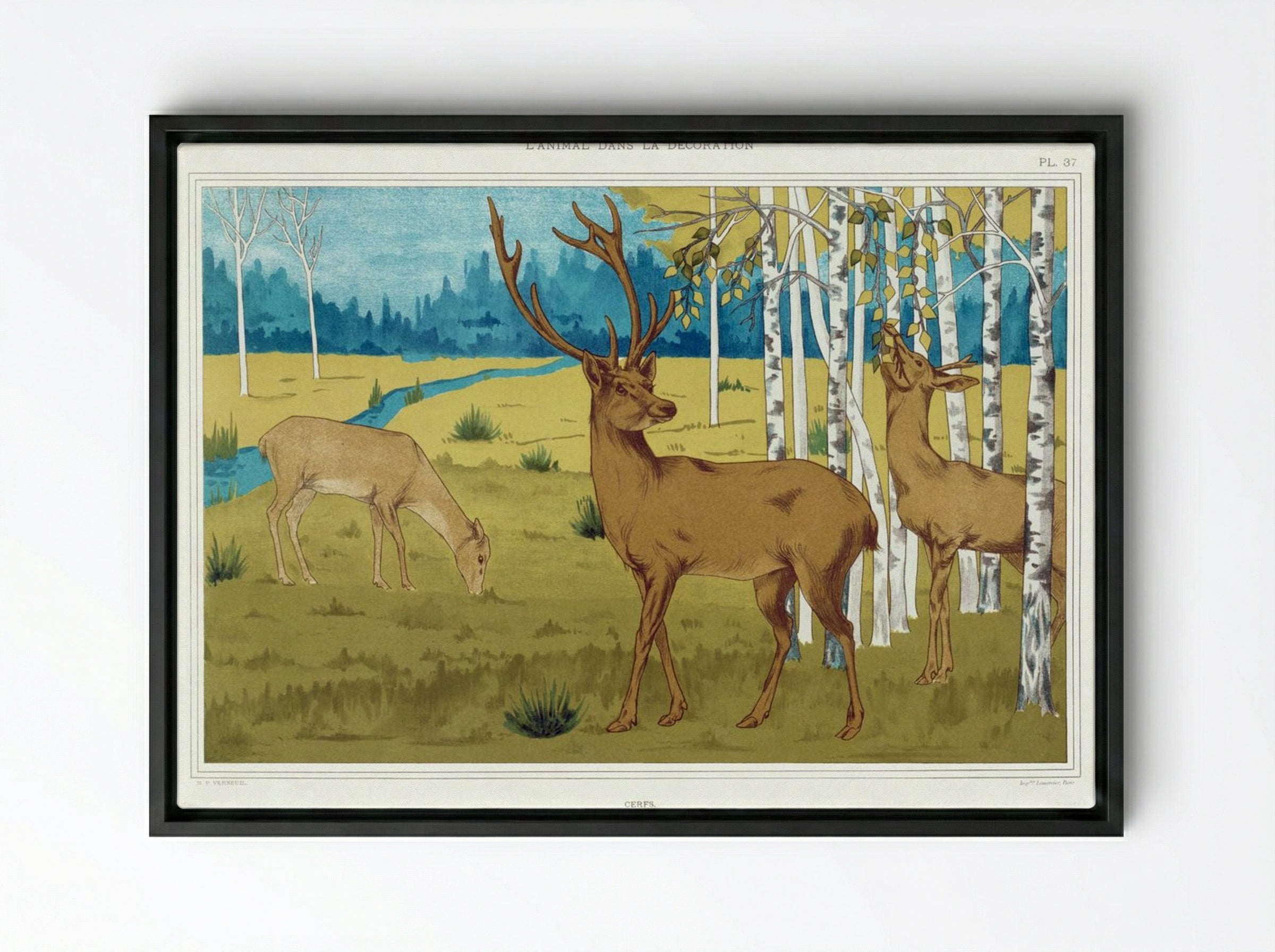 Cerfs (Deer) from L'animal dans la décoration - Maurice Pillard Verneuil - Framed Canvas Black