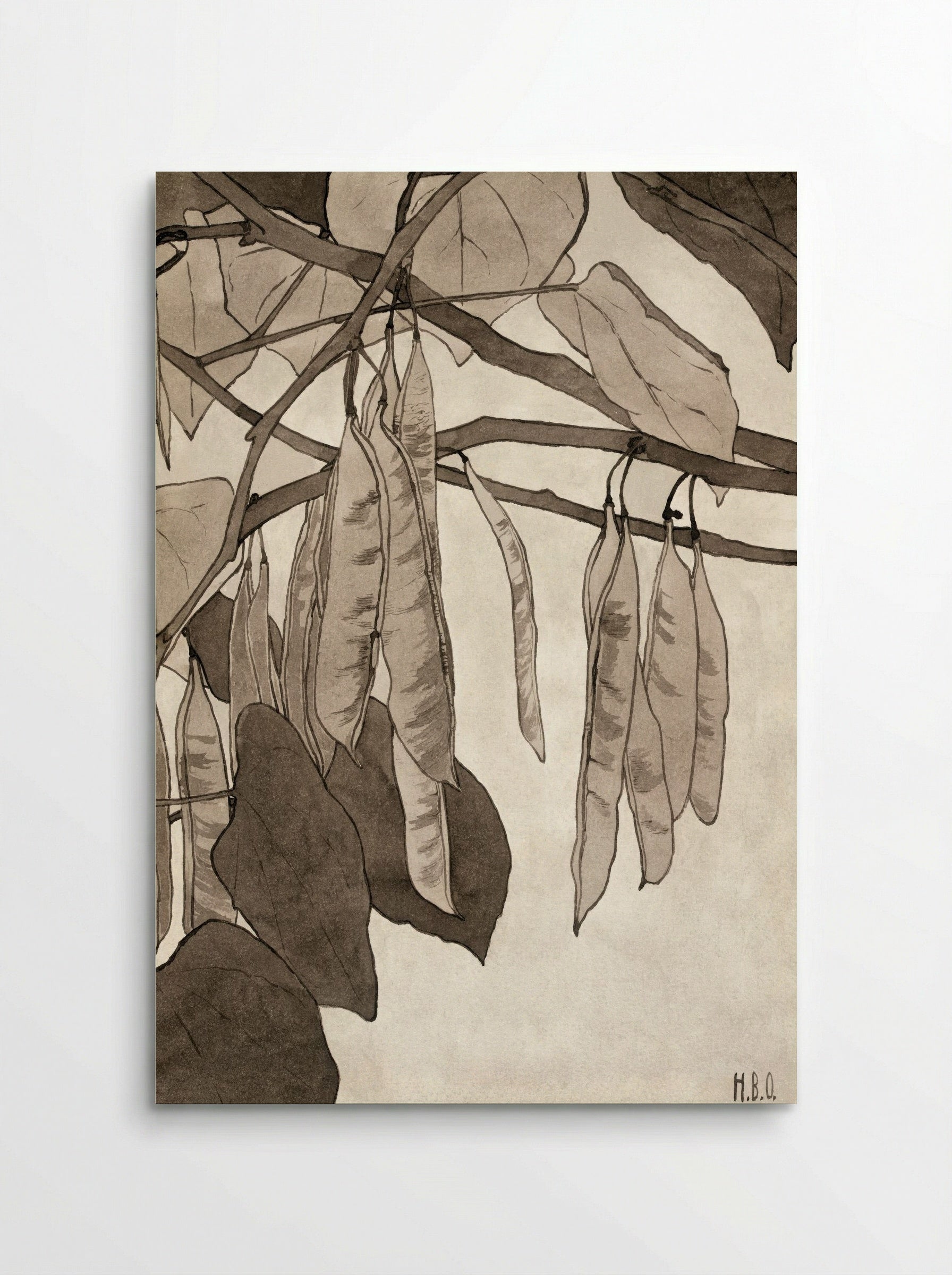 Red Bud (1915) - Hannah Borger Overbeck - Poster