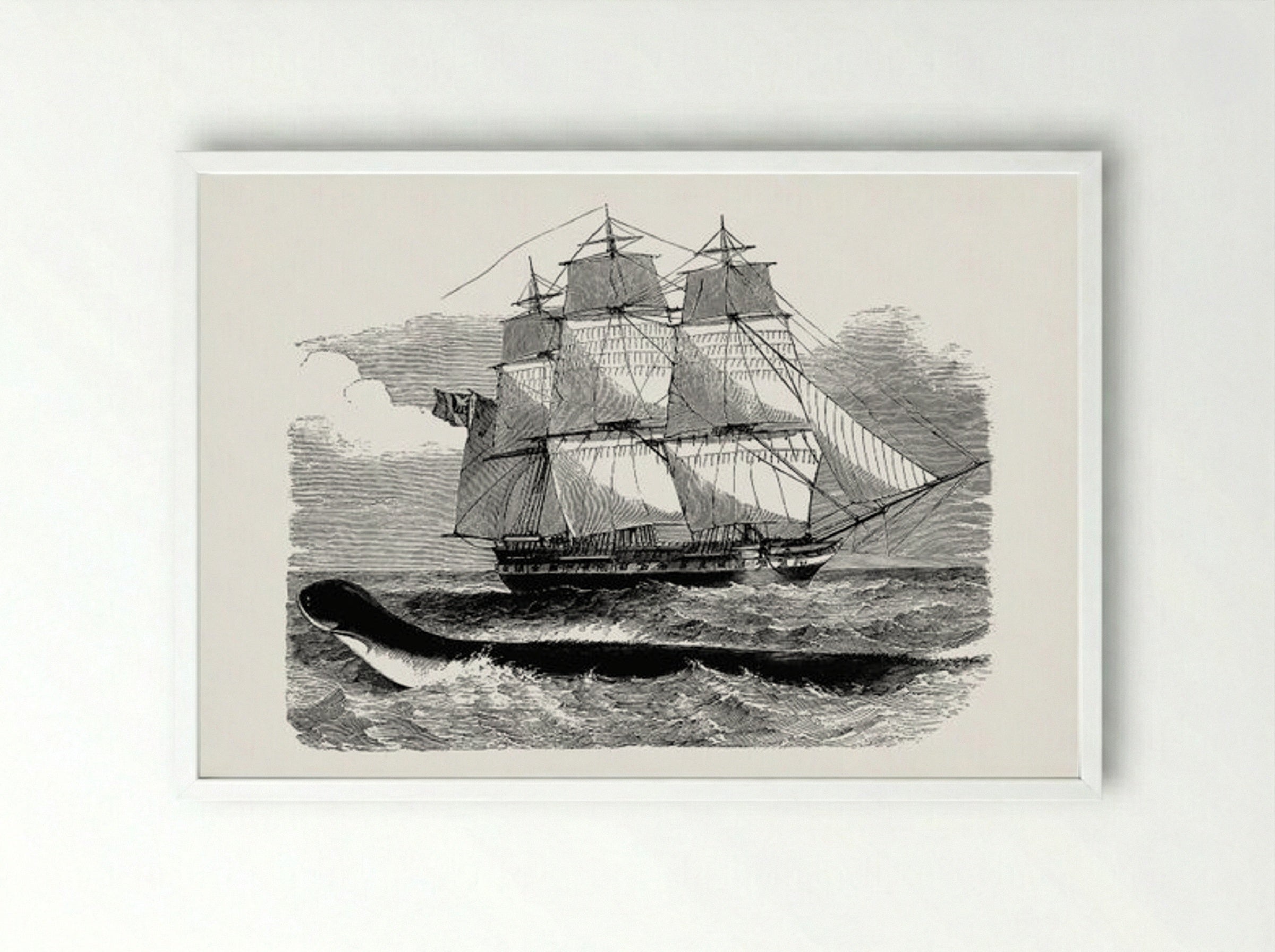 The Great Sea-Serpent, When First Seen From H.M.S. Daedalus - Fine Art Print - Framed Print White
