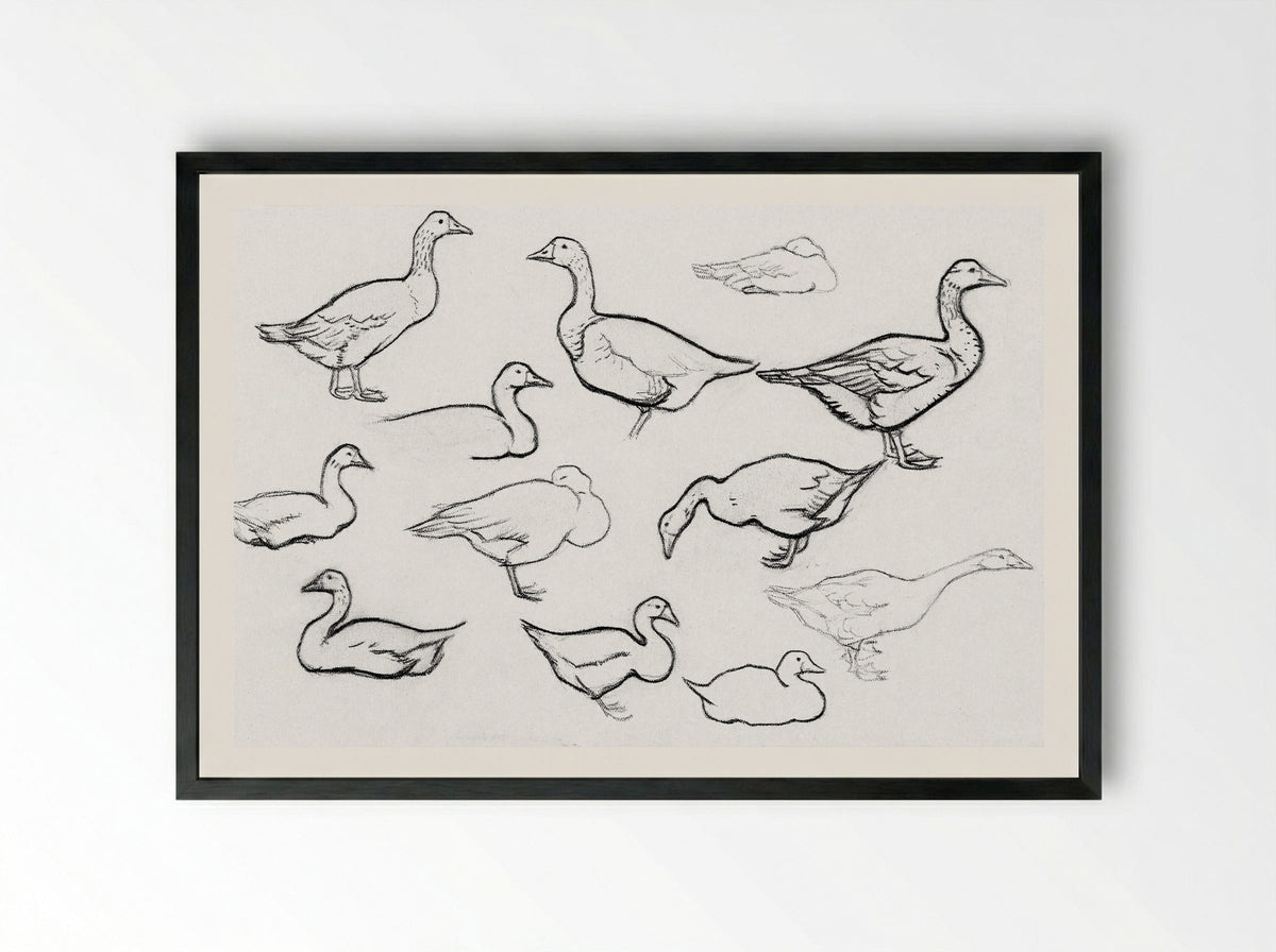 Study of Geese - Julie de Graag - Framed Print Black