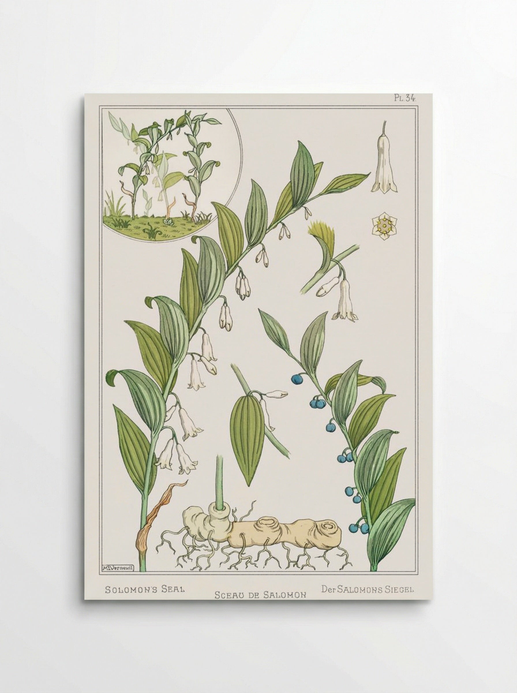 Sceau de Salomon (Solomon's Seal) - Maurice Pillard Verneuil - Poster
