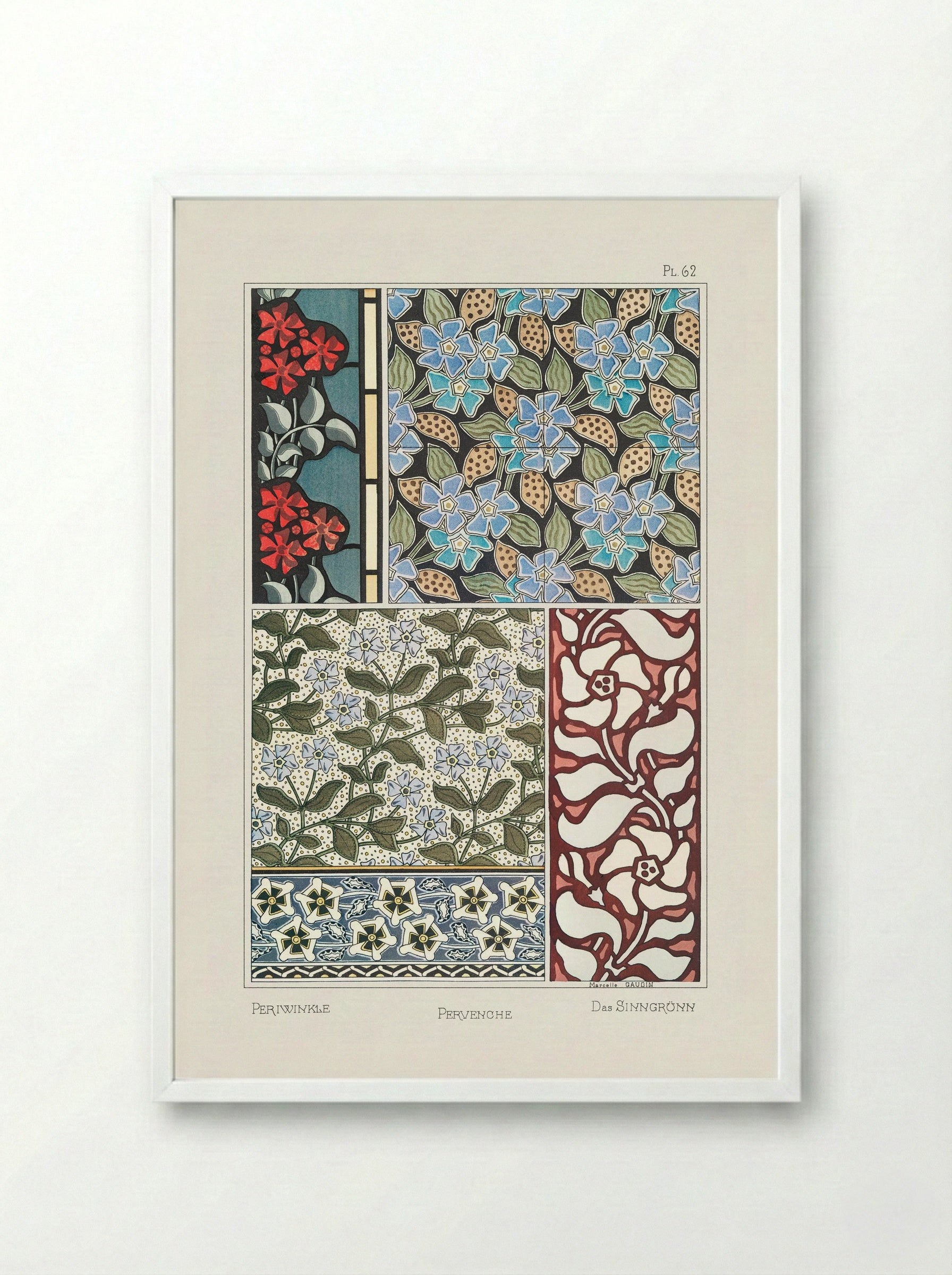 Pervenche (Periwinkle) from La Plante et ses Applications ornementales - Maurice Pillard Verneuil - Framed Print White