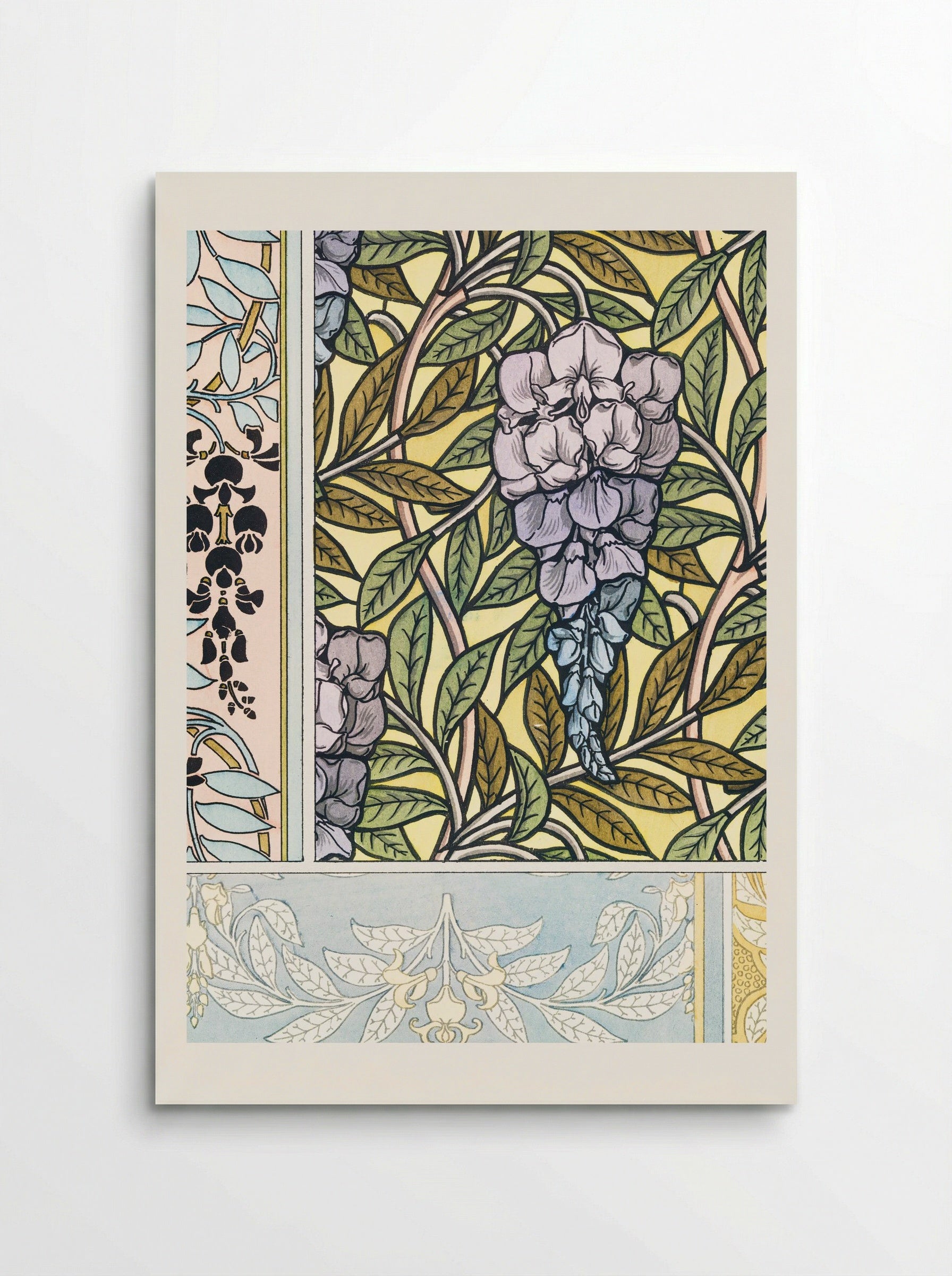 Glycine (Wisteria) from La Plante et ses Applications ornementales - Maurice Pillard Verneuil - Poster