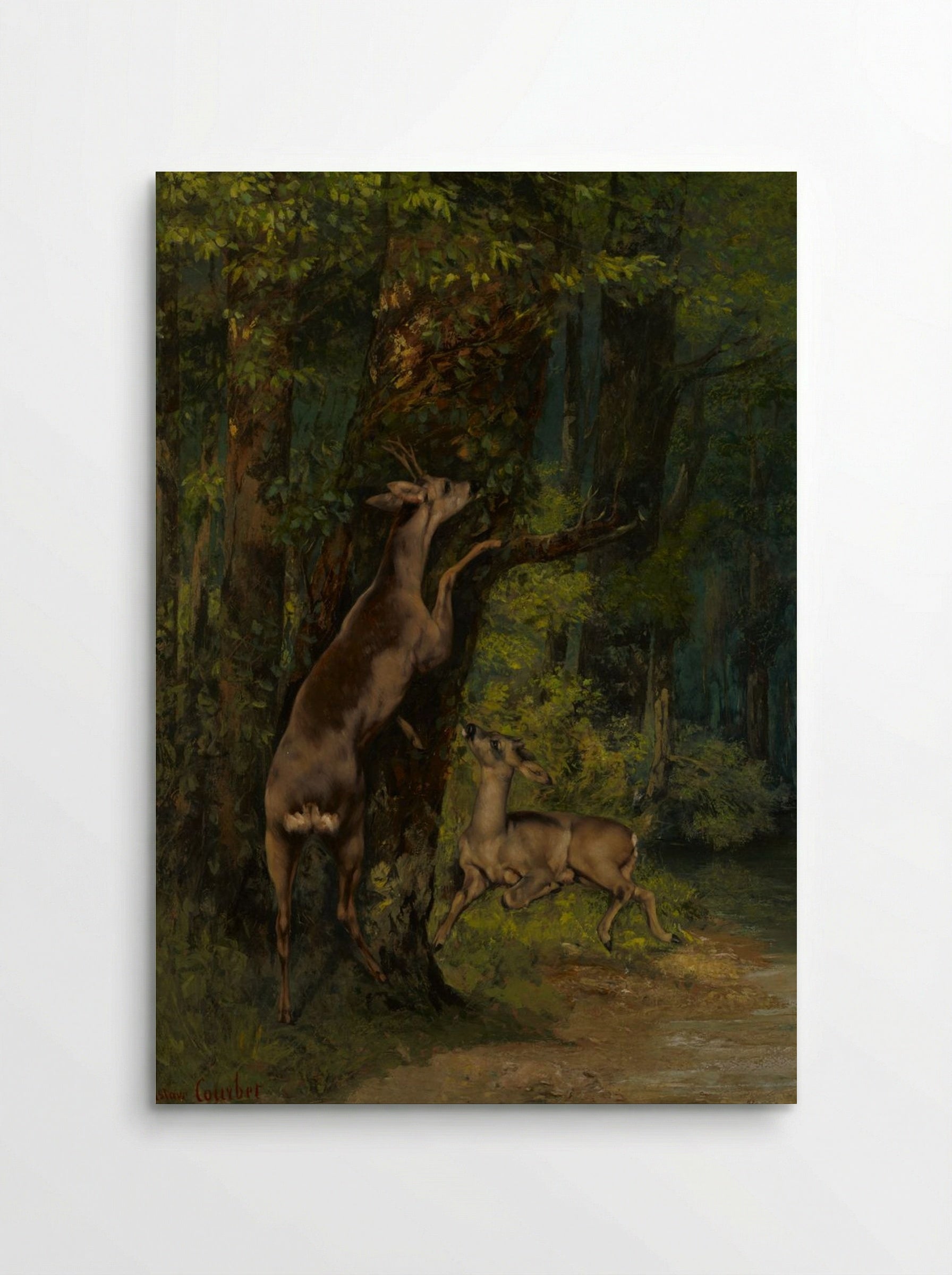 Deer in the Forest - Gustave Courbet - Poster