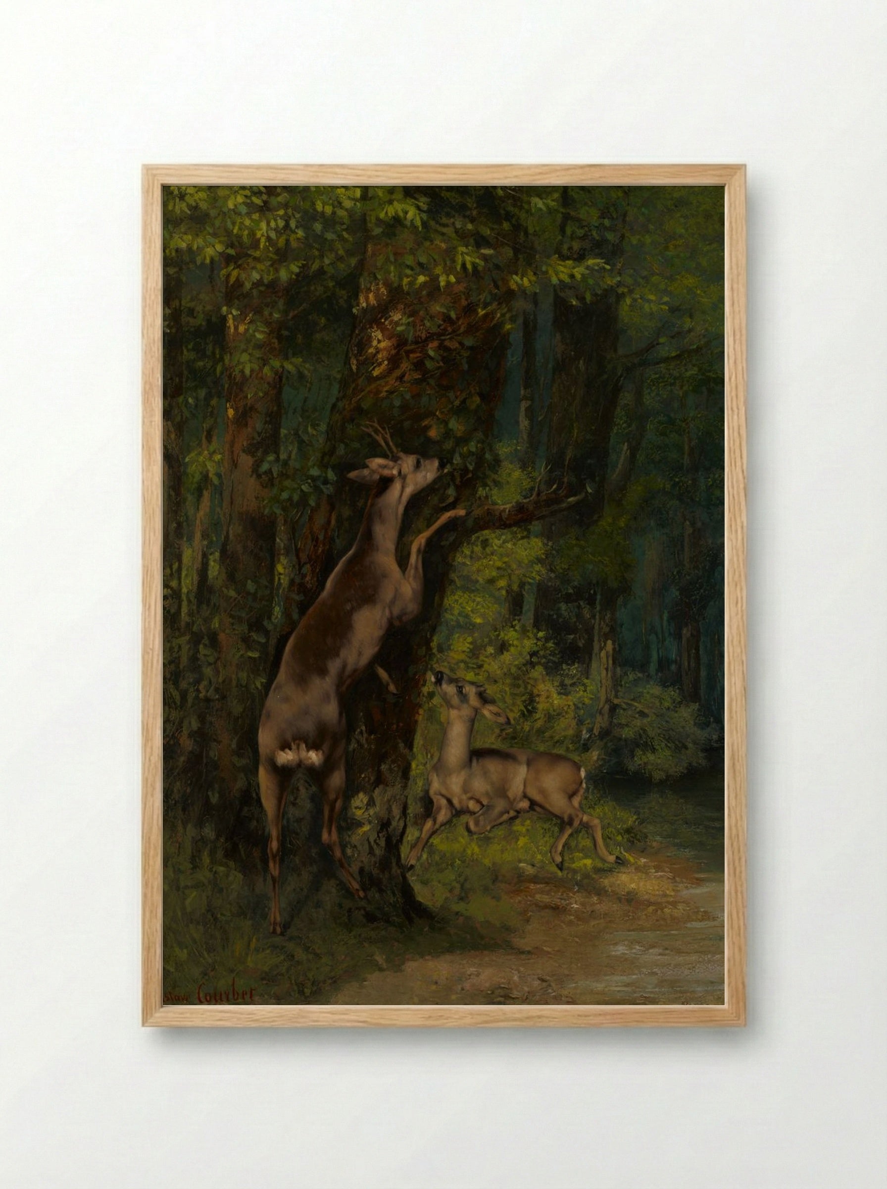 Deer in the Forest - Gustave Courbet - Framed Print Wood