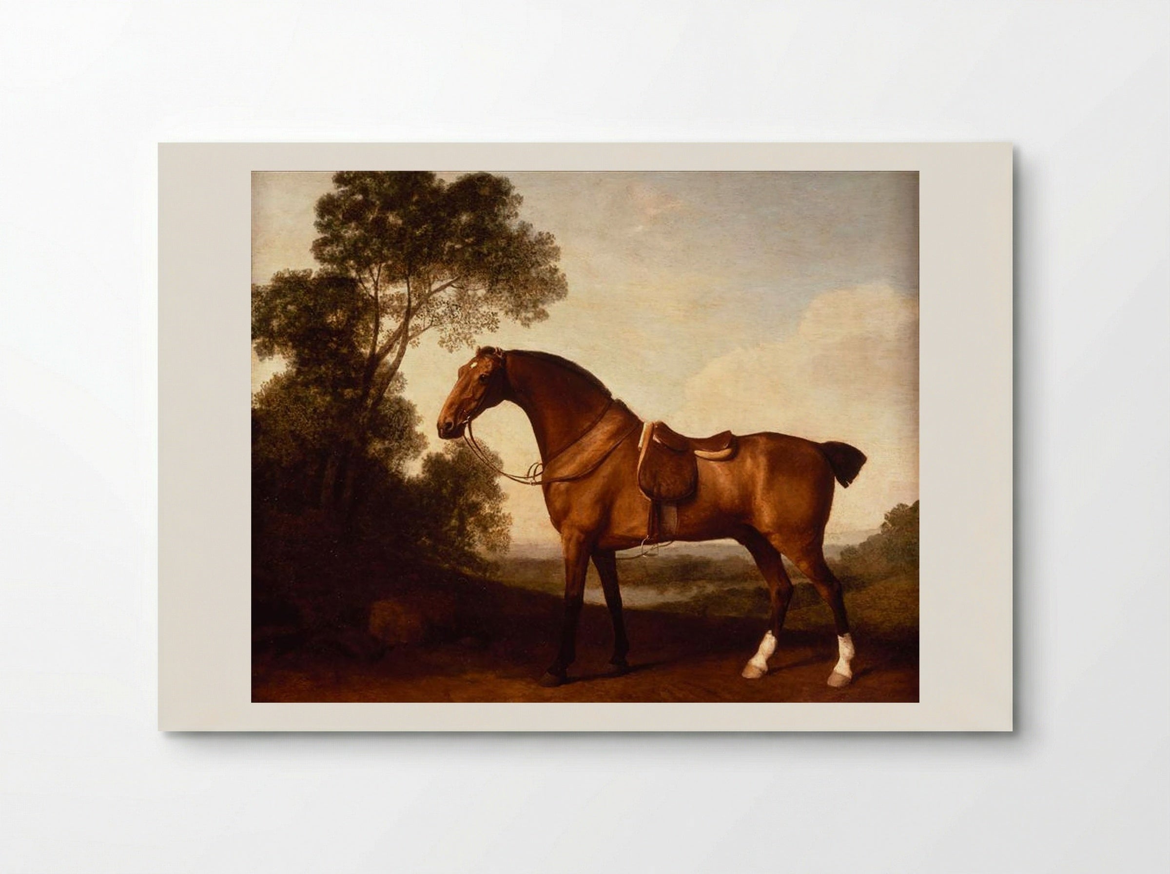 A Saddled Bay Hunter - George Stubbs - Poster