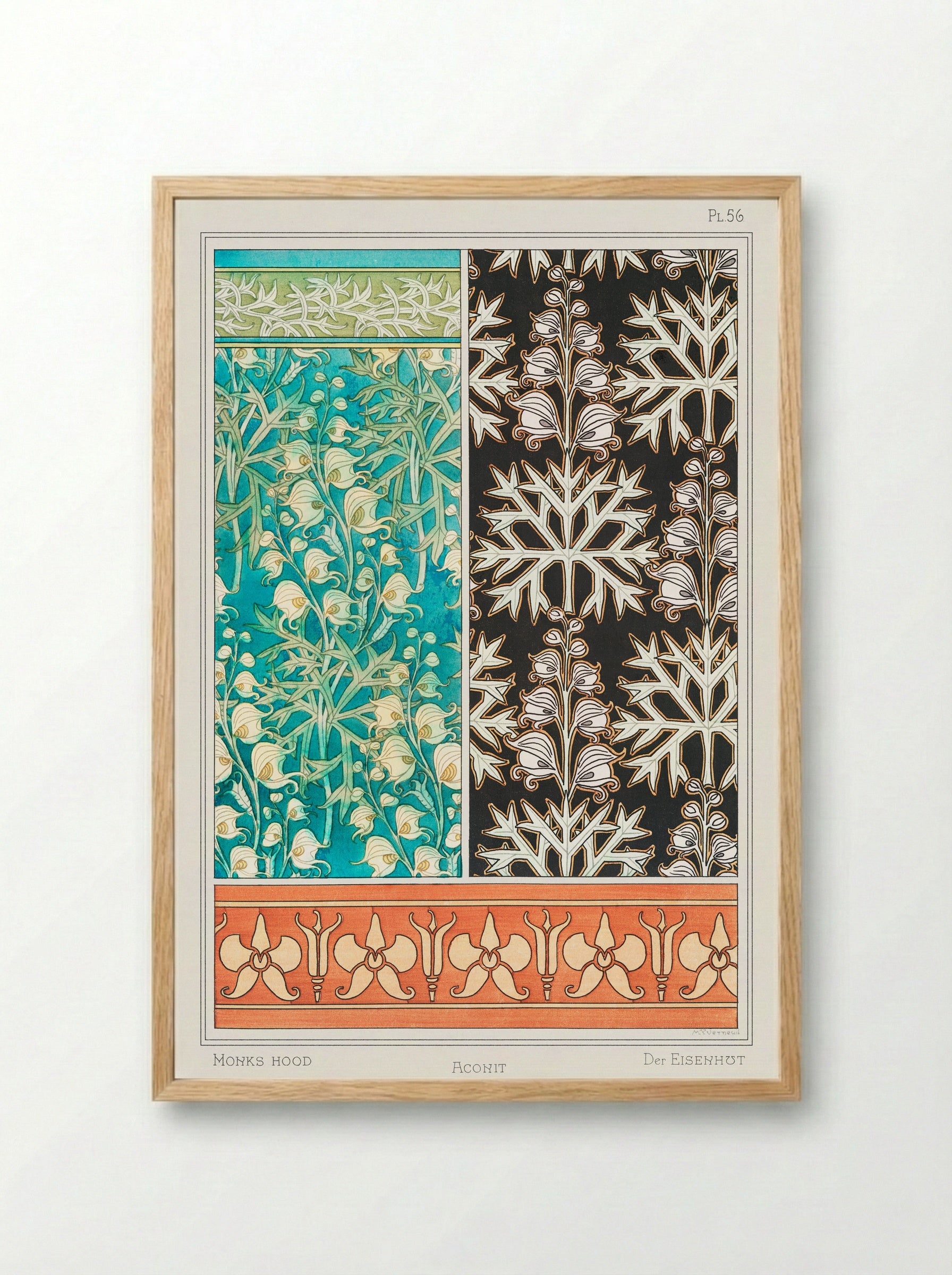 Aconite (Monkshood) from La Plante et ses Applications ornementales - Maurice Pillard Verneuil - Framed Print Wood