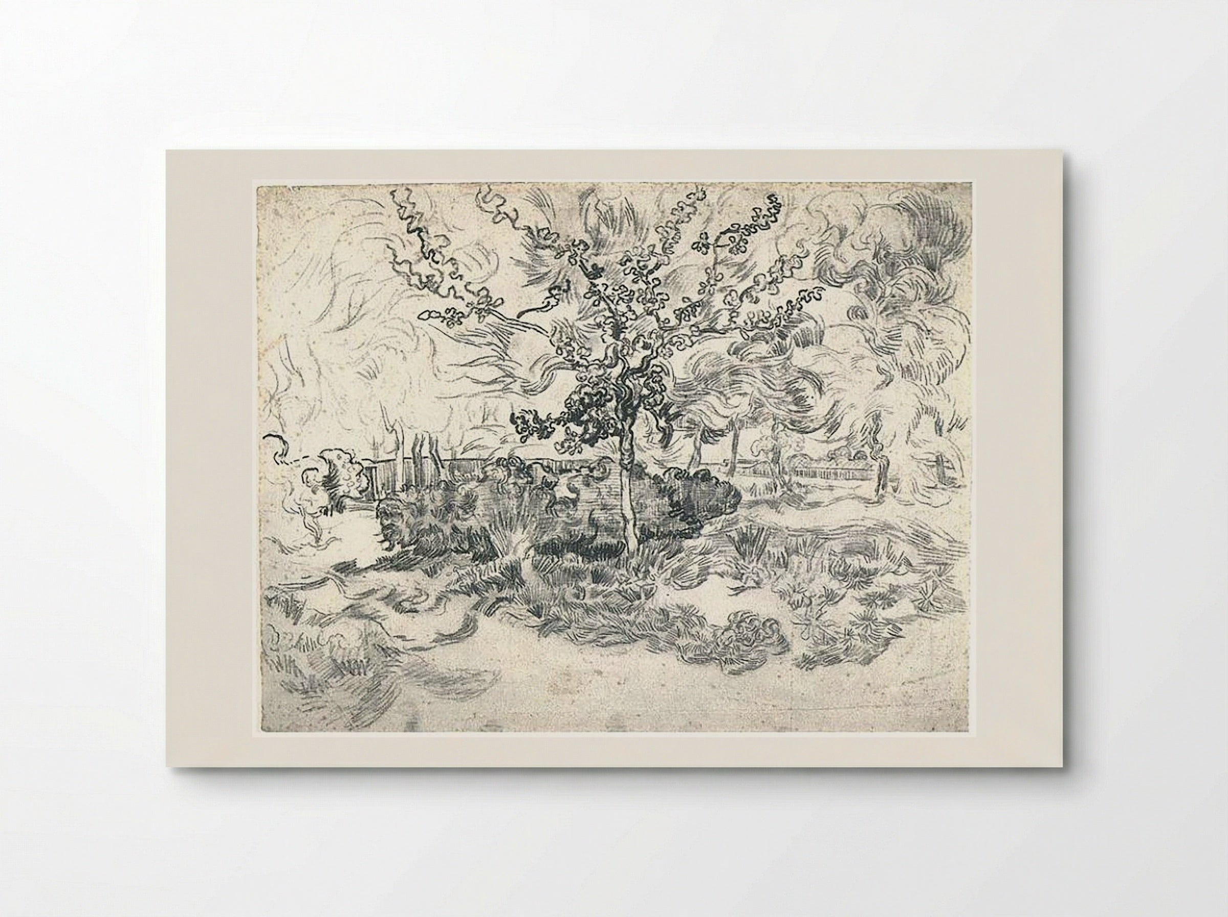 The Garden of the Asylum - Vincent van Gogh - Poster