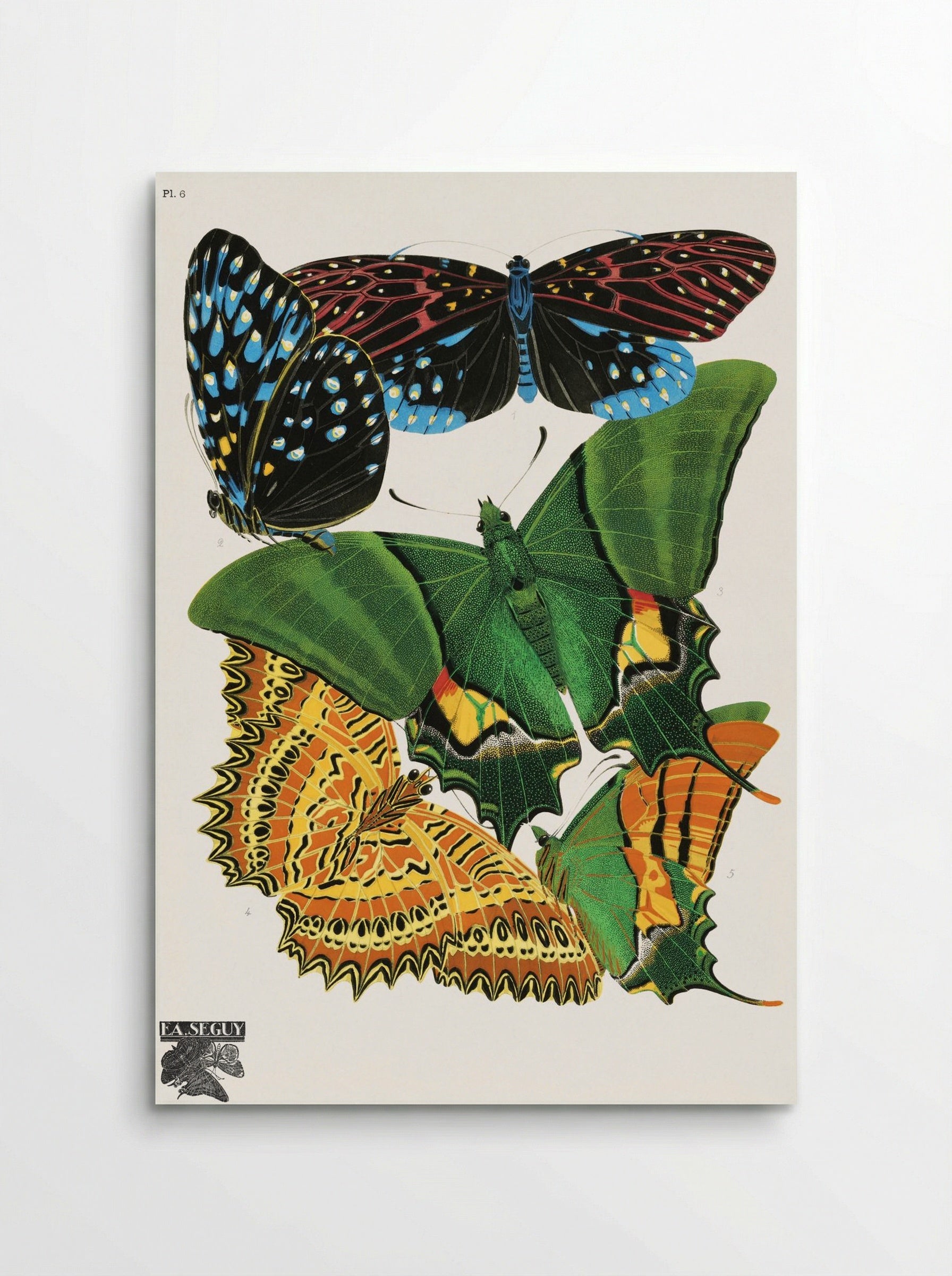 Butterflies, Plate 6 - Eugène Alain Séguy - Poster