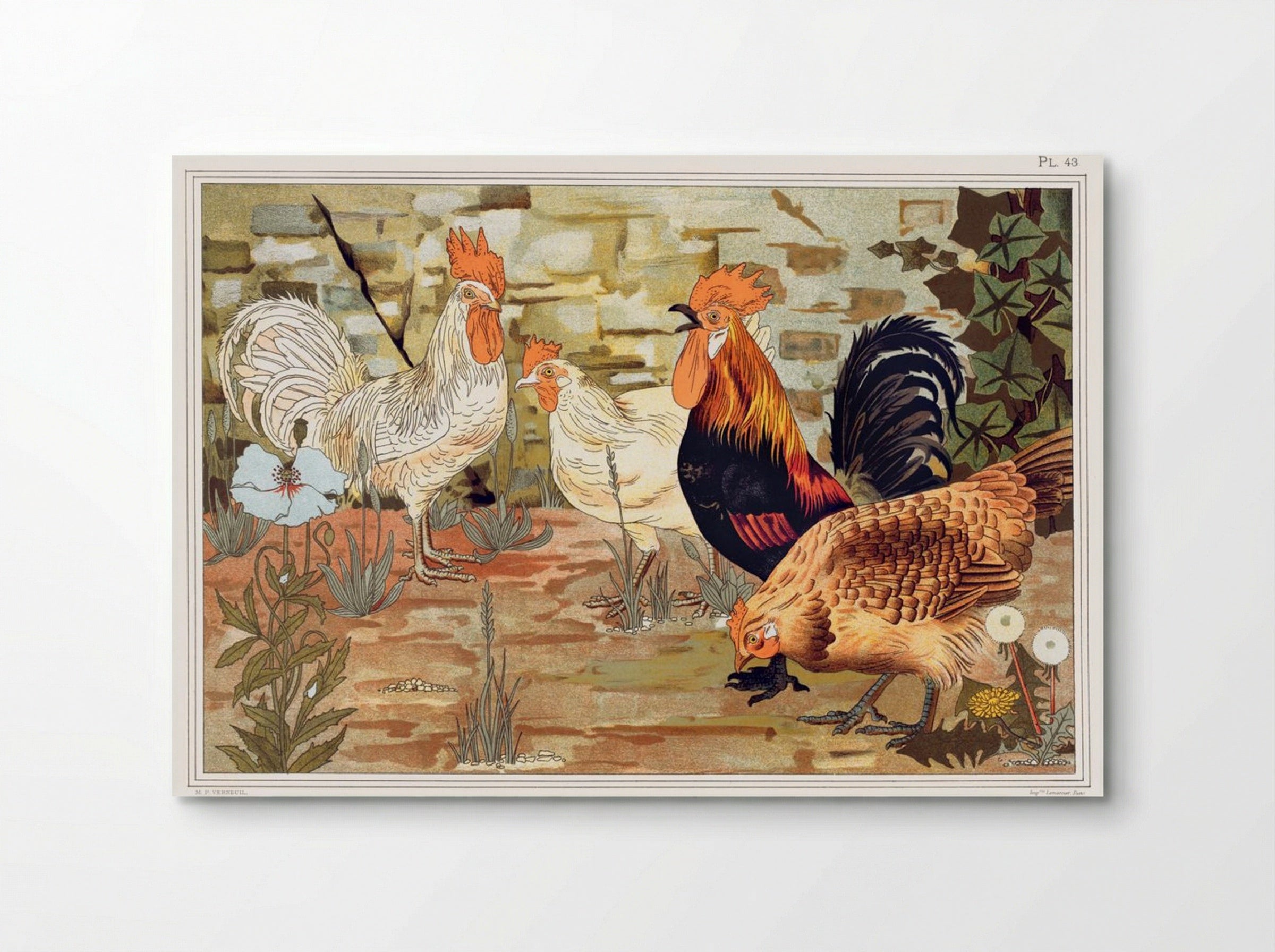 Coqs et Poules (From L'animal dans la décoration) - Maurice Pillard Verneuil - Poster