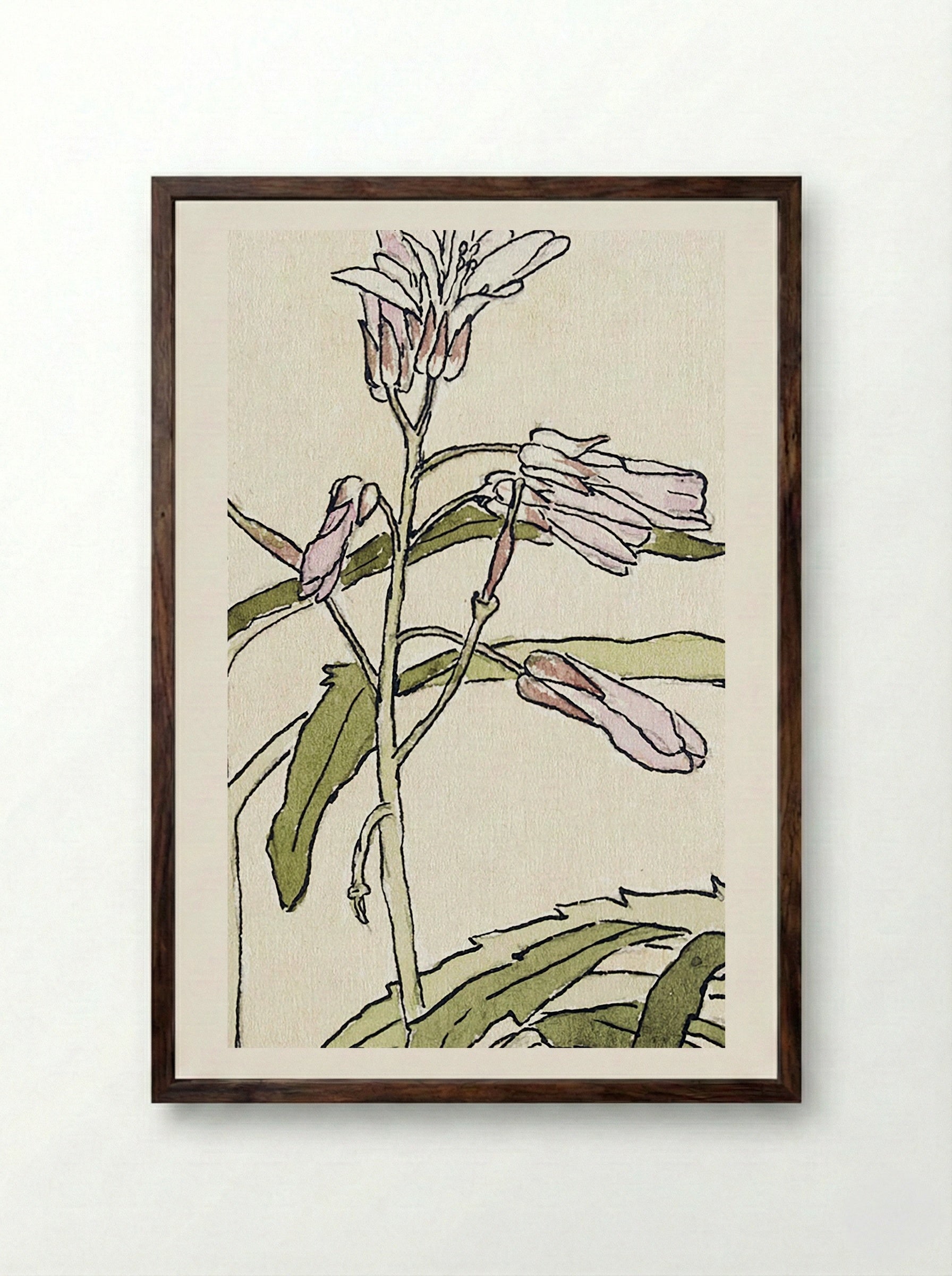 Pink Flowers with Spiky Green Leaves (1915) - Hannah Borger Overbeck - Framed Print Dark Wood