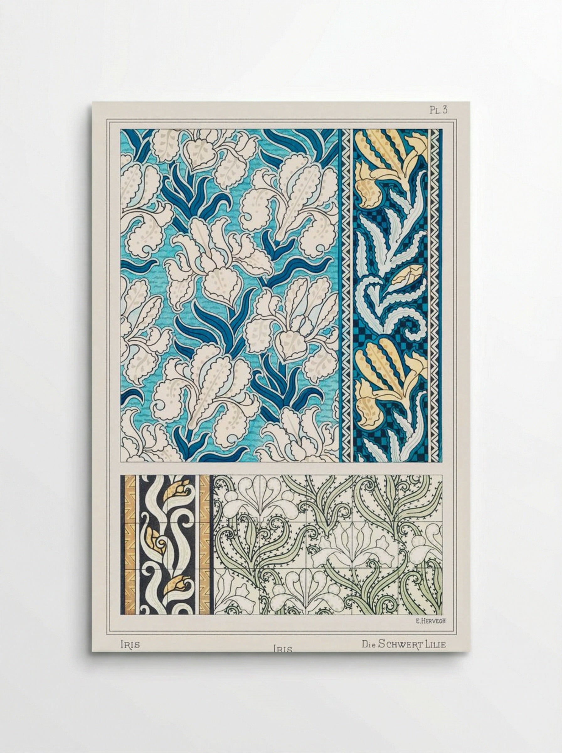 Iris, from La Plante et ses Applications ornementales - Maurice Pillard Verneuil - Poster