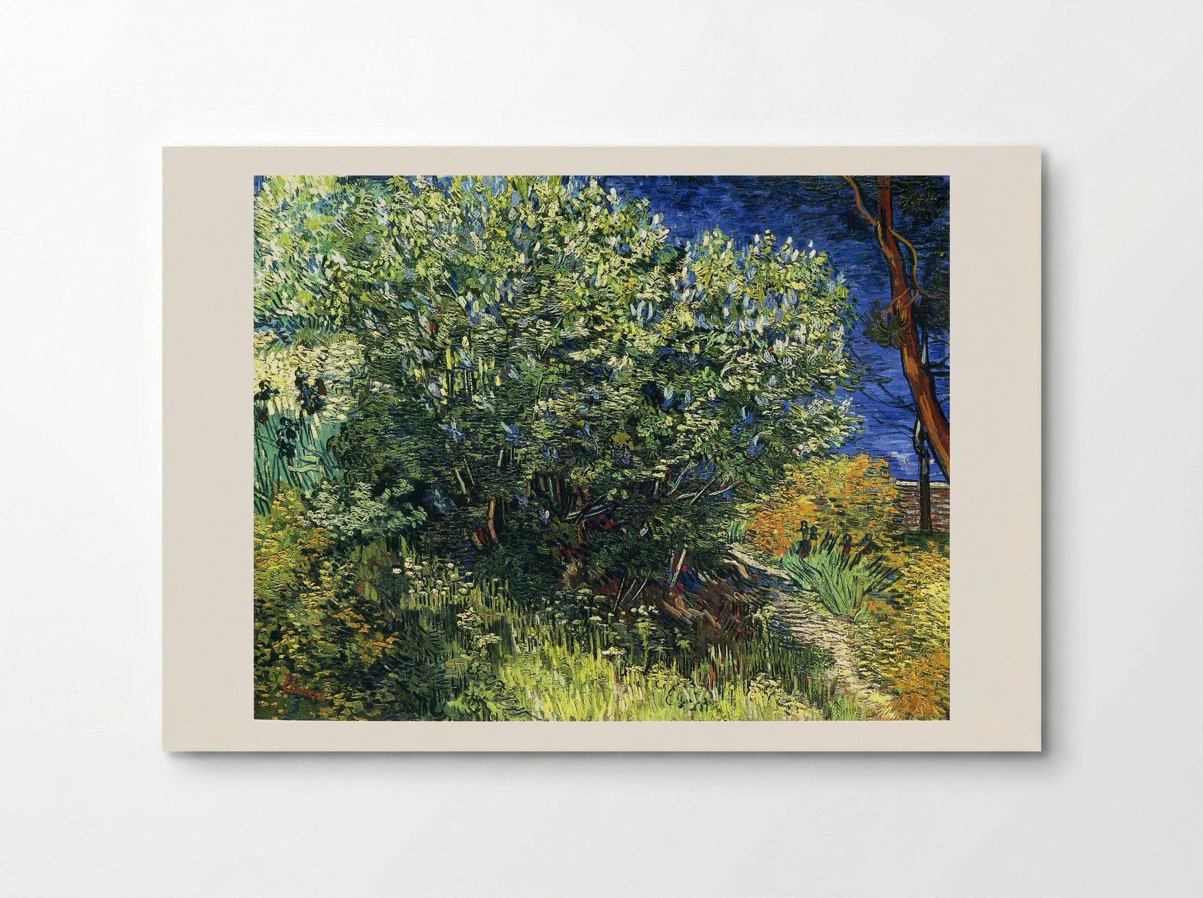 Lilac Bush - Vincent van Gogh - Poster