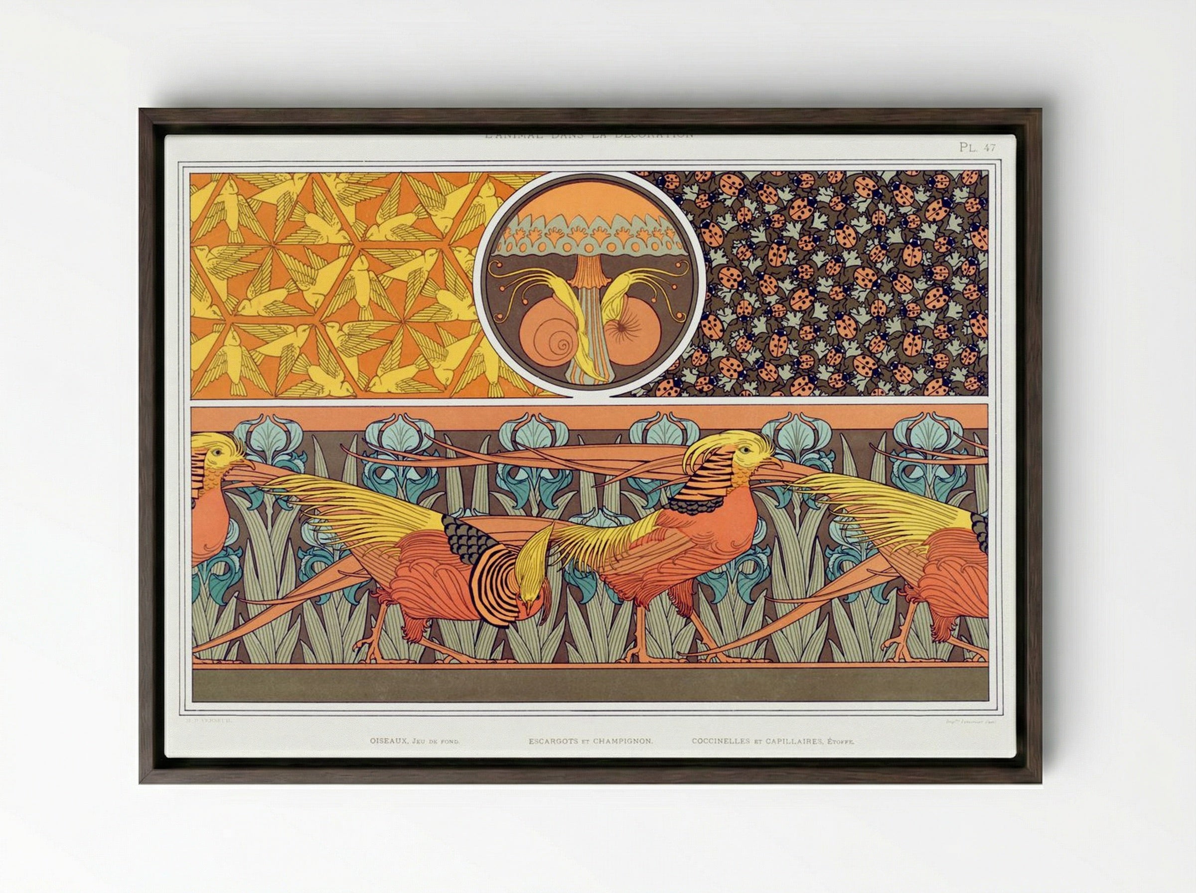 L'Animal dans la Décoration, Plate 47 - Fine Art Print - Framed Canvas Dark Wood