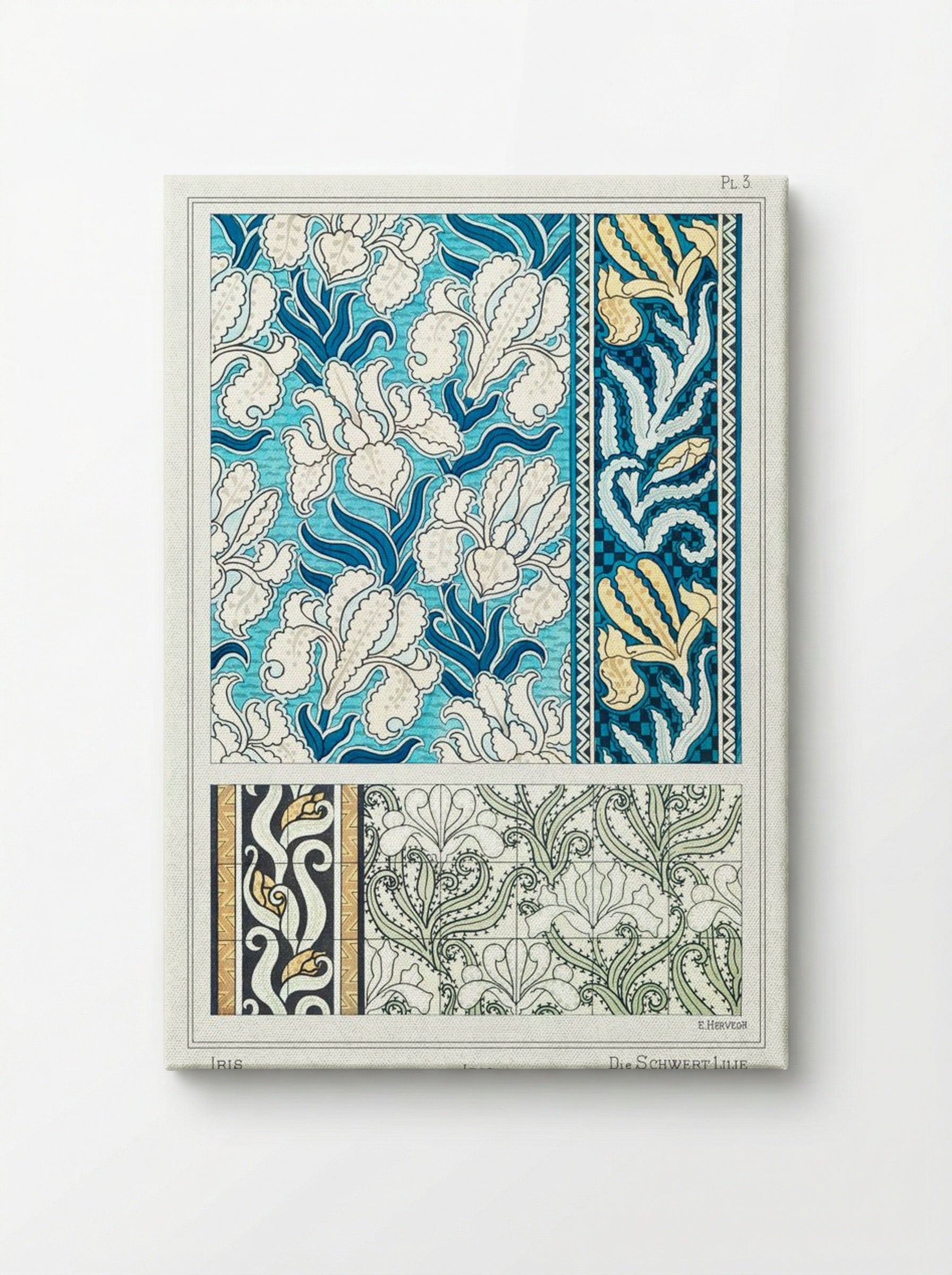 Iris, from La Plante et ses Applications ornementales - Maurice Pillard Verneuil - Canvas