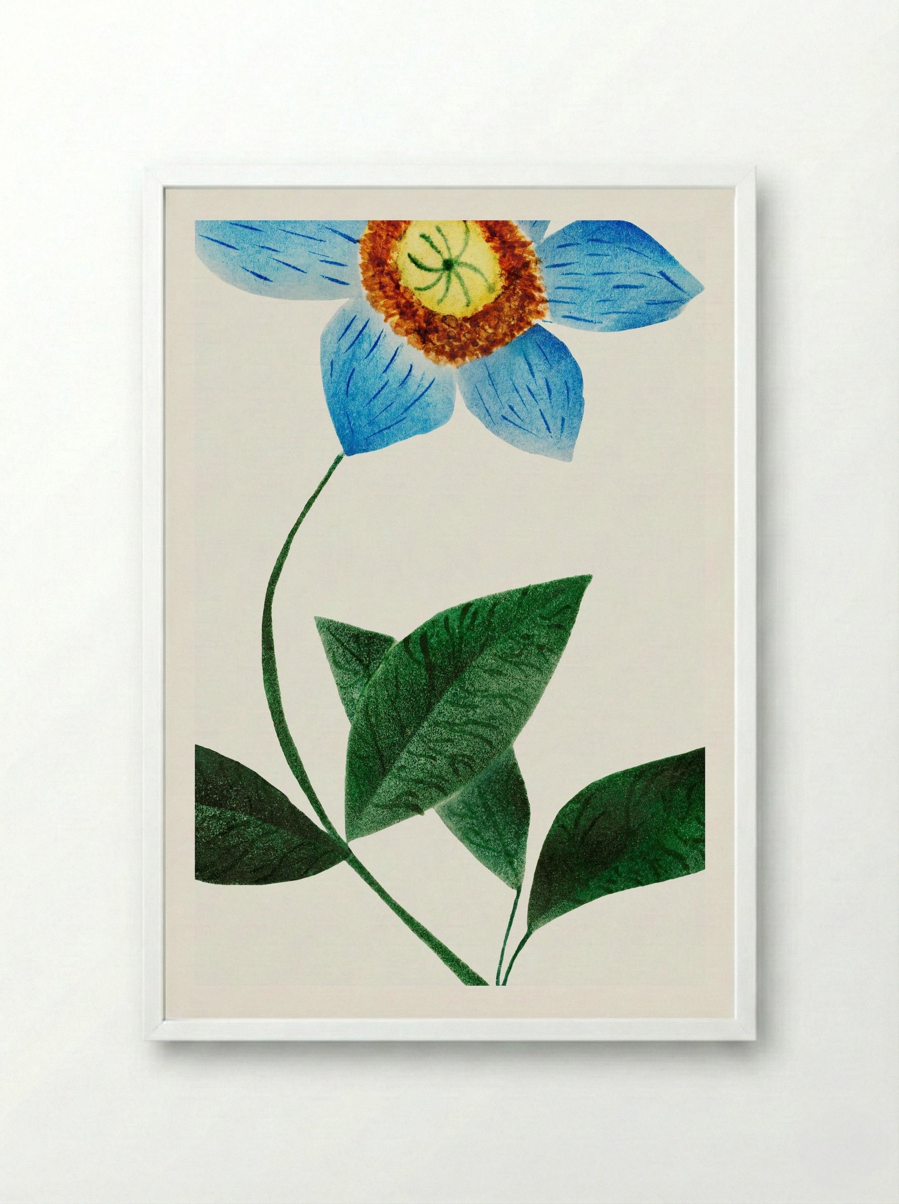 Star Flower - Mary Altha Nims - Framed Print White