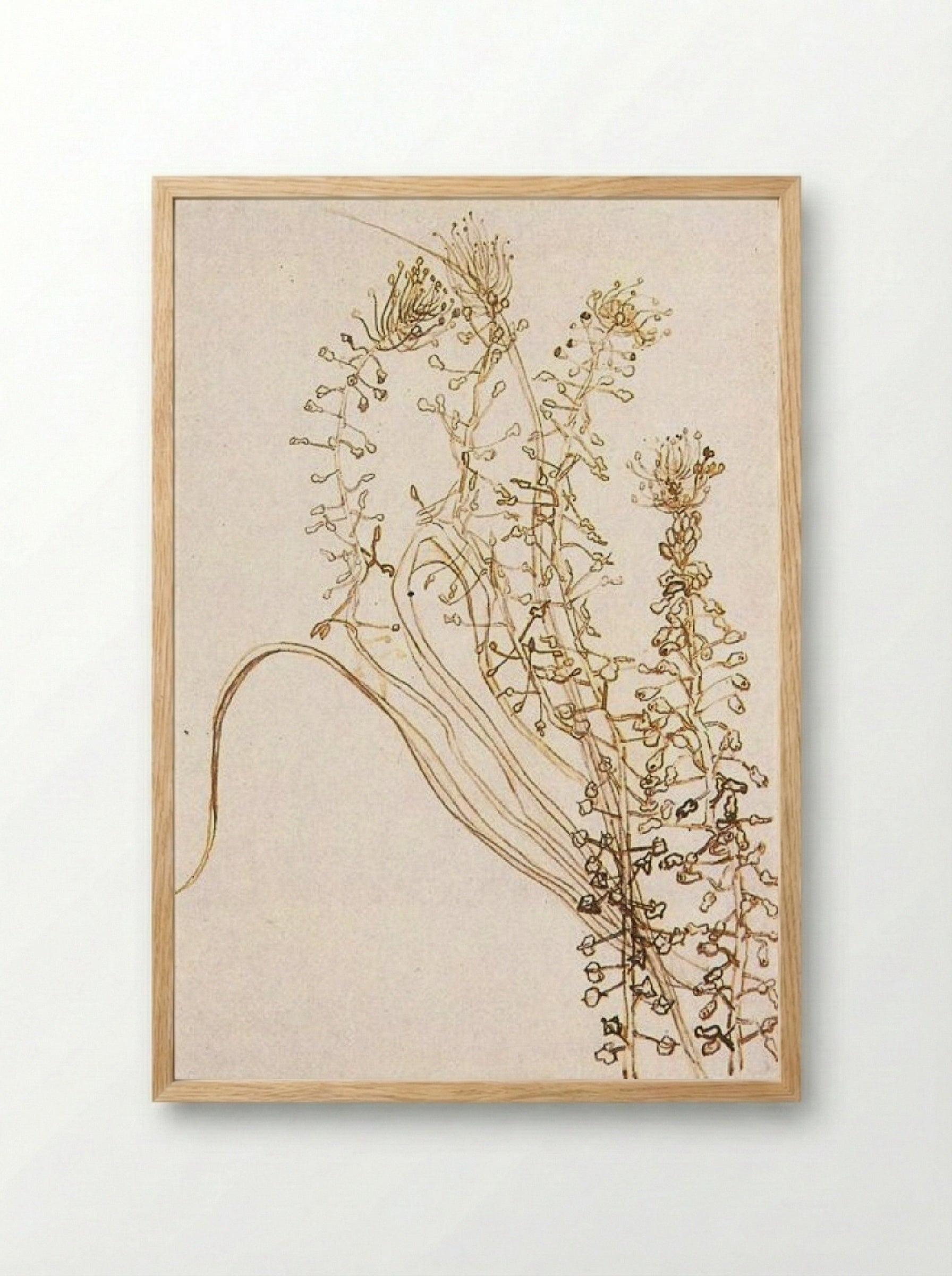 Blossoming Branches - Fine Art Print - Framed Print Wood