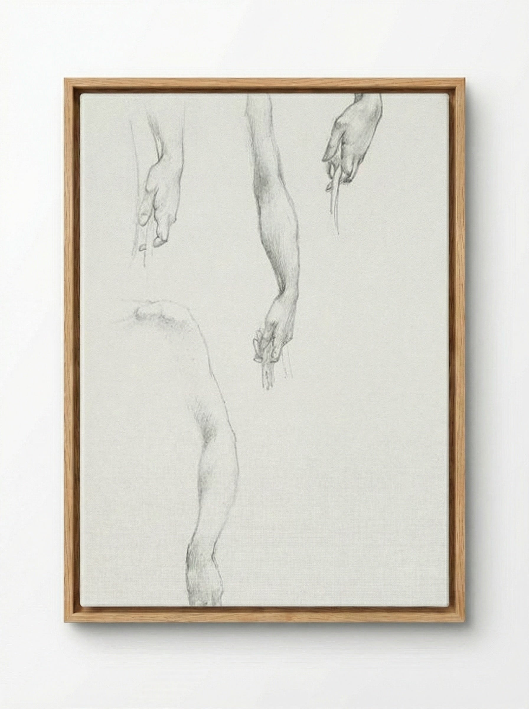 Studies of Arms and Hands - Edward Burne-Jones - Framed Canvas Wood