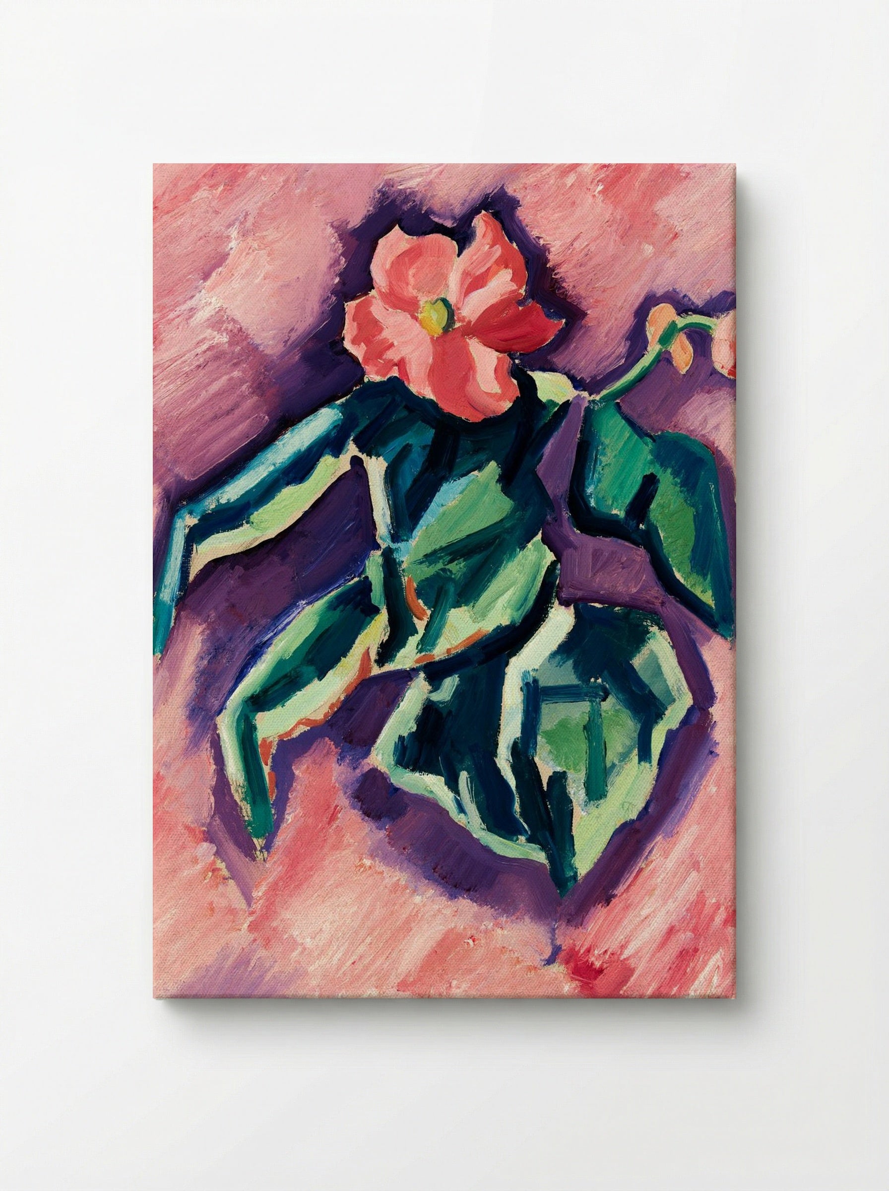 Pink Begonias - Marsden Hartley - Canvas