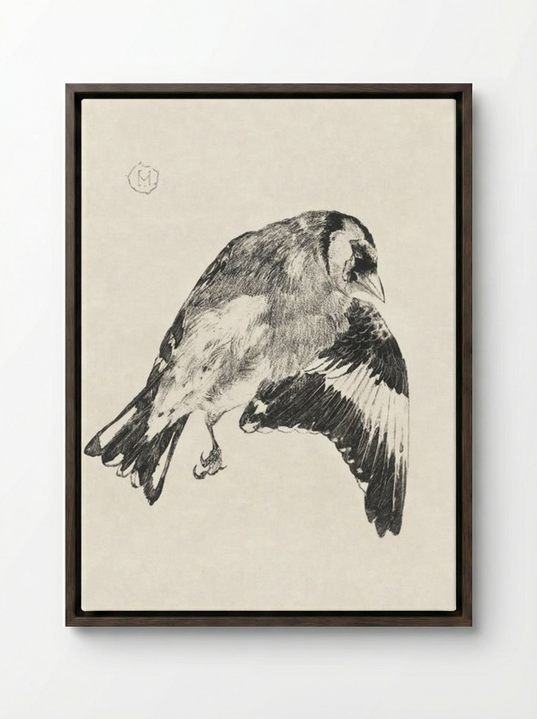 Goldfinch (Study of a Bird in Flight) - Theo van Hoytema - Framed Canvas Dark Wood
