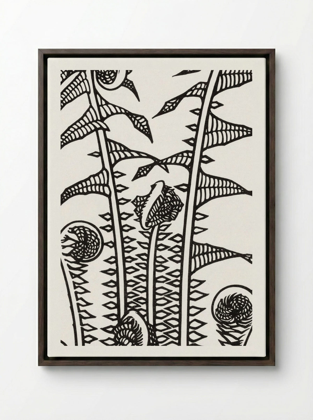 Ferns - Julie de Graag - Framed Canvas Dark Wood