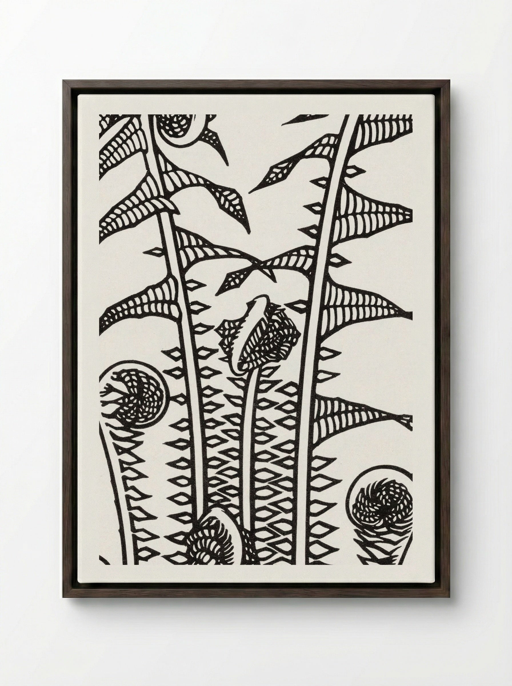 Ferns - Julie de Graag - Framed Canvas Dark Wood