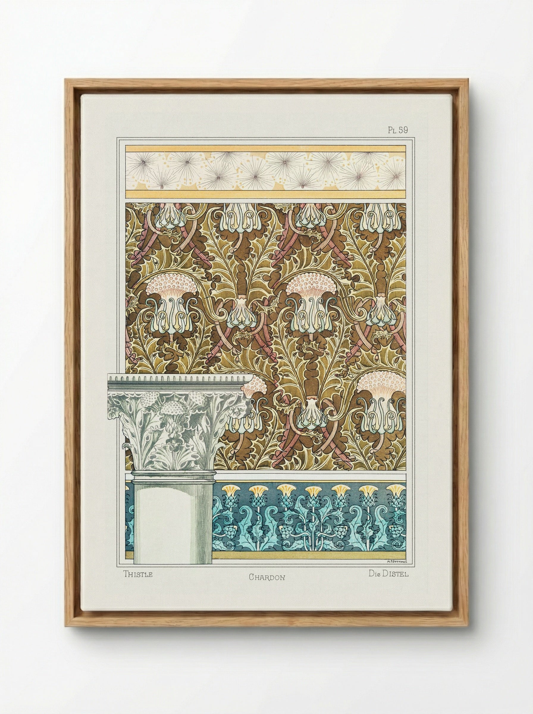 Chardon (Thistle) from La Plante et ses Applications ornementales - Maurice Pillard Verneuil - Framed Canvas Wood