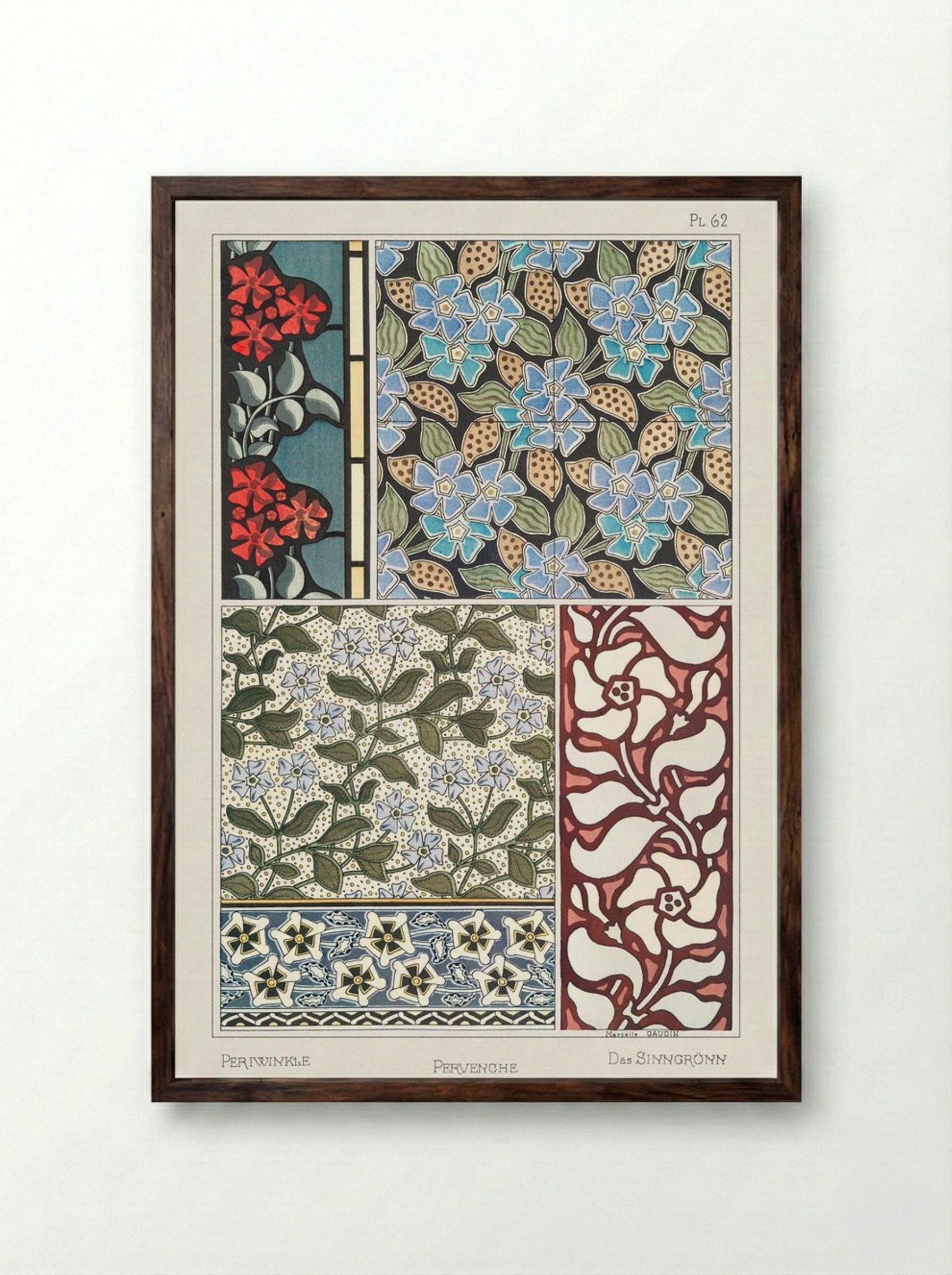 Pervenche (Periwinkle) from La Plante et ses Applications ornementales - Maurice Pillard Verneuil - Framed Print Dark Wood